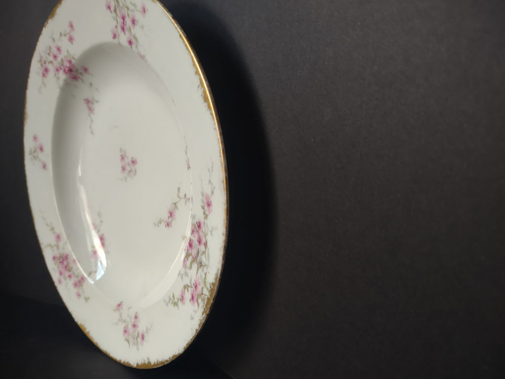 Haviland France Limoges Soup Plate 9-1/2" Pink Floral Gold Trim (lot 1006)