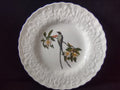 Vintage Alfred Meakin Audubon Fork-Tailed Flycatcher Dinner Plate [5865]