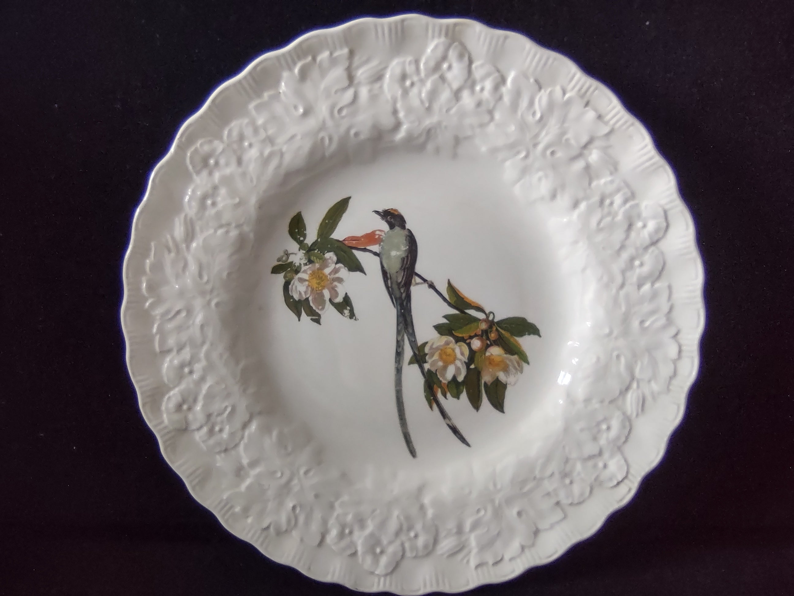 Vintage Alfred Meakin Audubon Fork-Tailed Flycatcher Dinner Plate [5865]