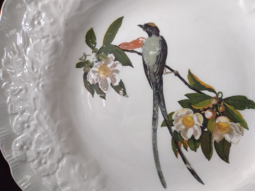 Vintage Alfred Meakin Audubon Fork-Tailed Flycatcher Dinner Plate [5865]