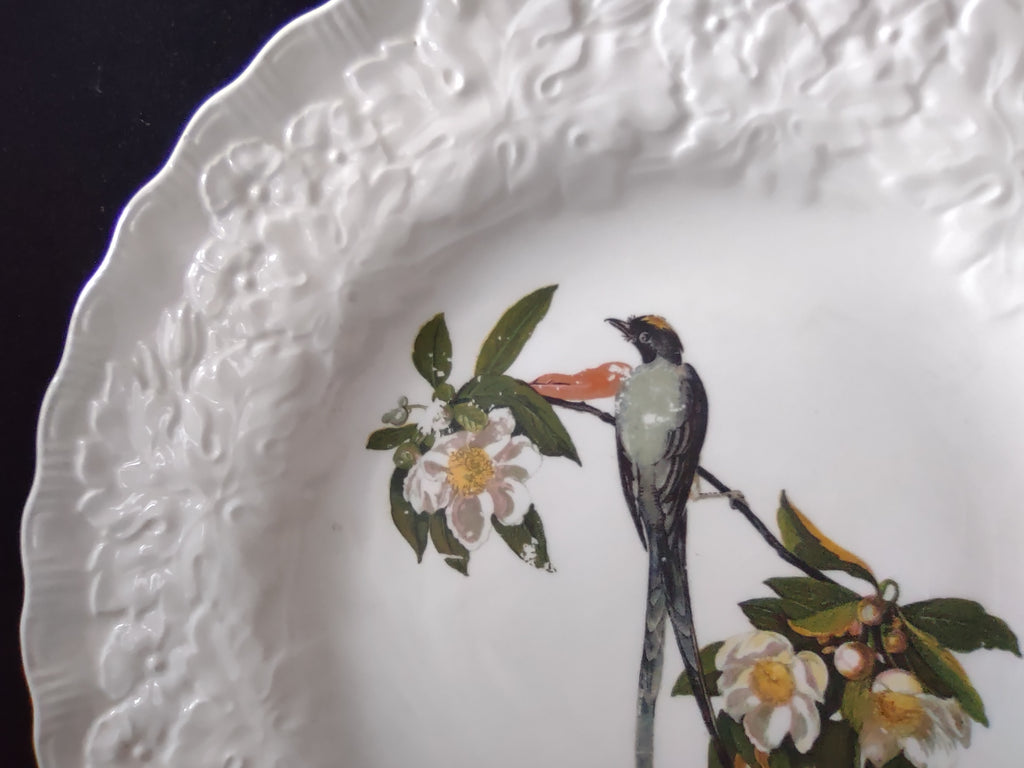 Vintage Alfred Meakin Audubon Fork-Tailed Flycatcher Dinner Plate [5865]