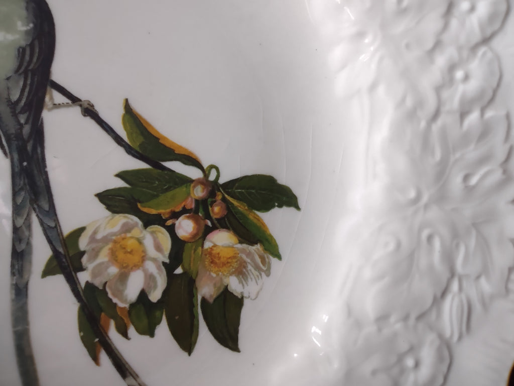 Vintage Alfred Meakin Audubon Fork-Tailed Flycatcher Dinner Plate [5865]