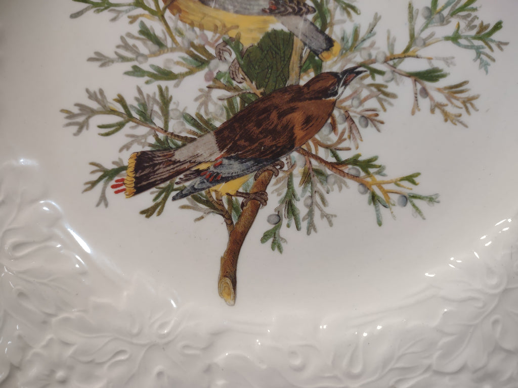 Vintage Alfred Meakin Audubon Cedar Waxwing Bird Collector Plate England [5866]