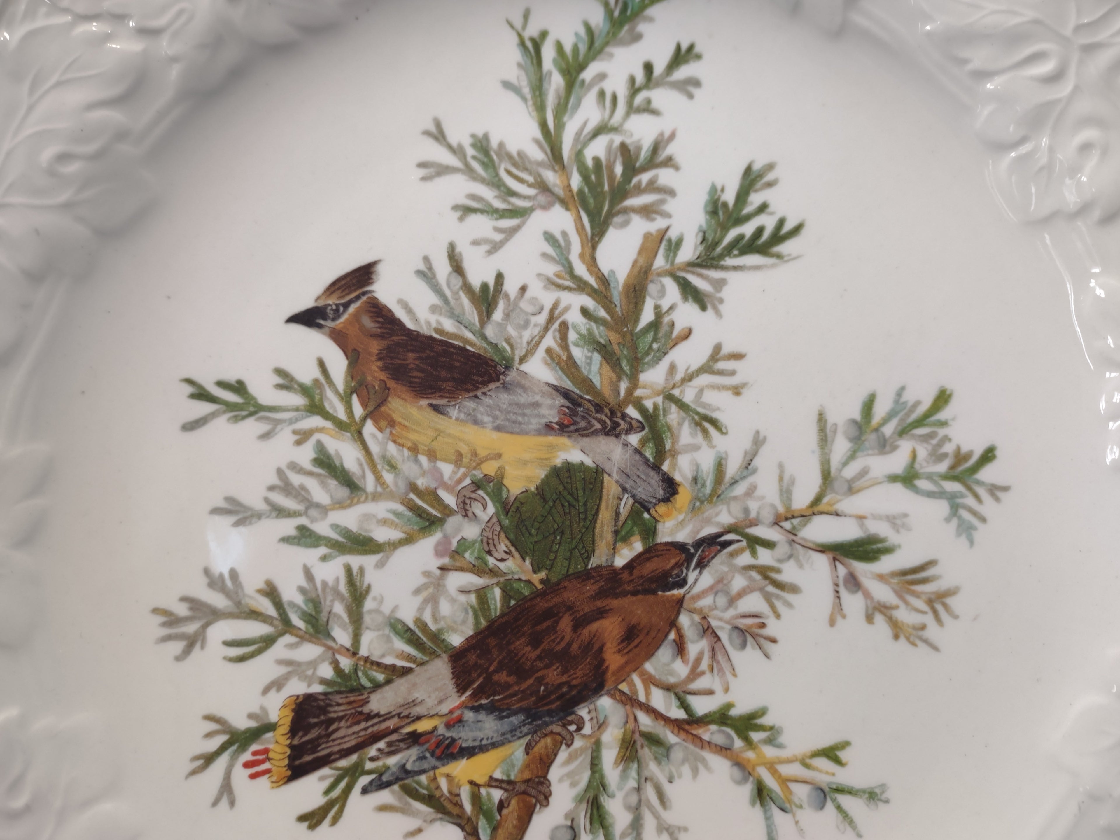 Vintage Alfred Meakin Audubon Cedar Waxwing Bird Collector Plate England [5866]
