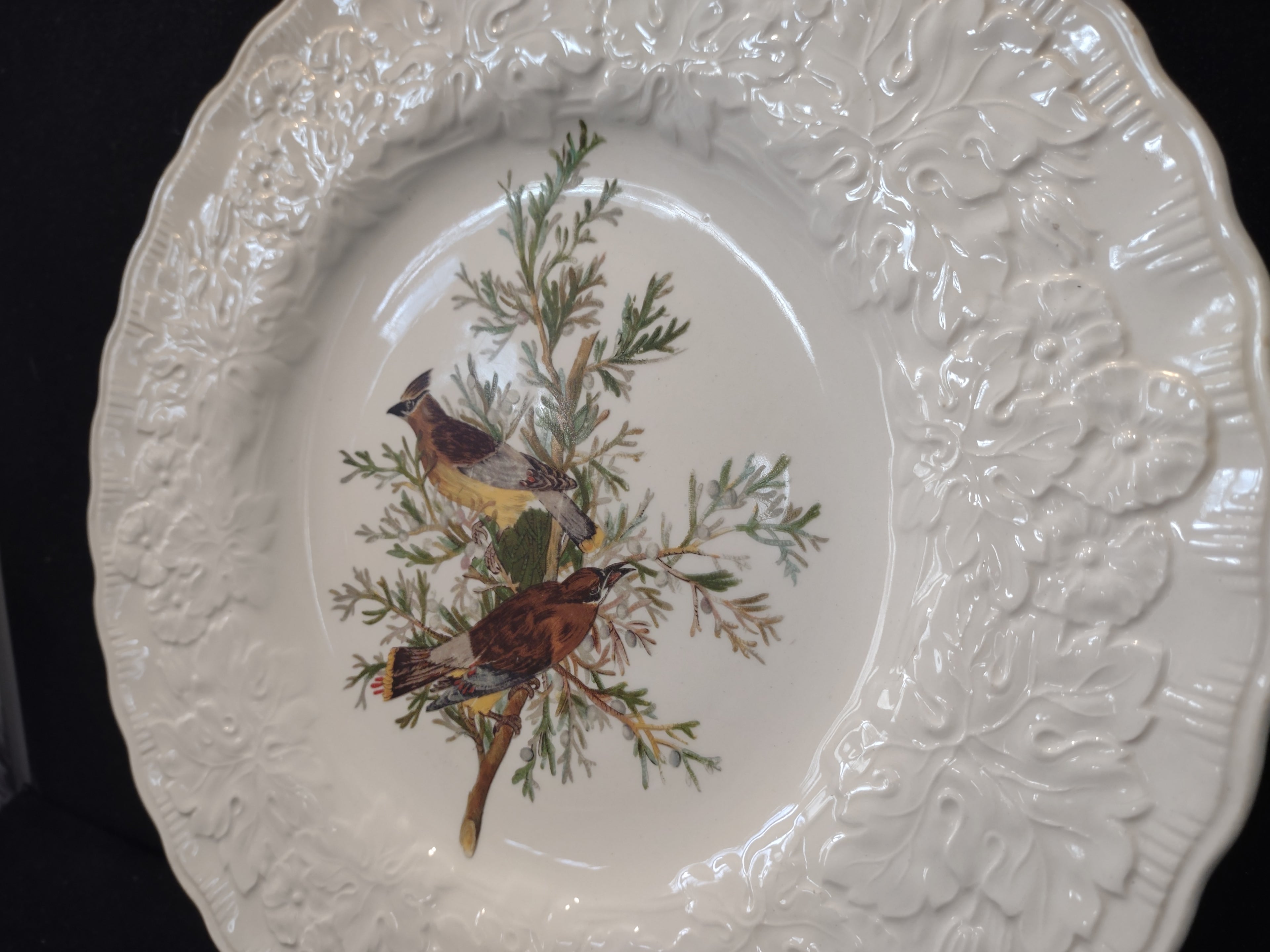 Vintage Alfred Meakin Audubon Cedar Waxwing Bird Collector Plate England [5866]