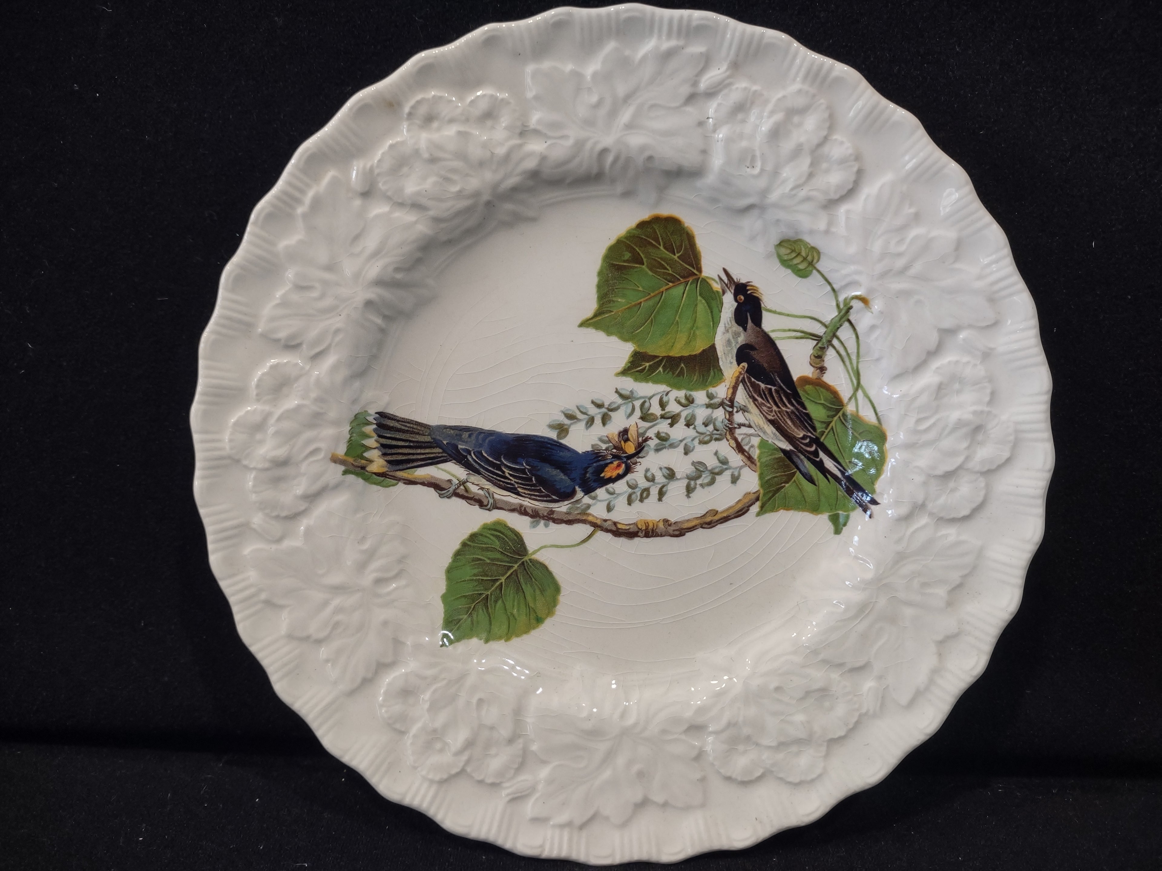 Vintage Alfred Meakin Audubon Kingbird Cottagecore Plate England [5867]