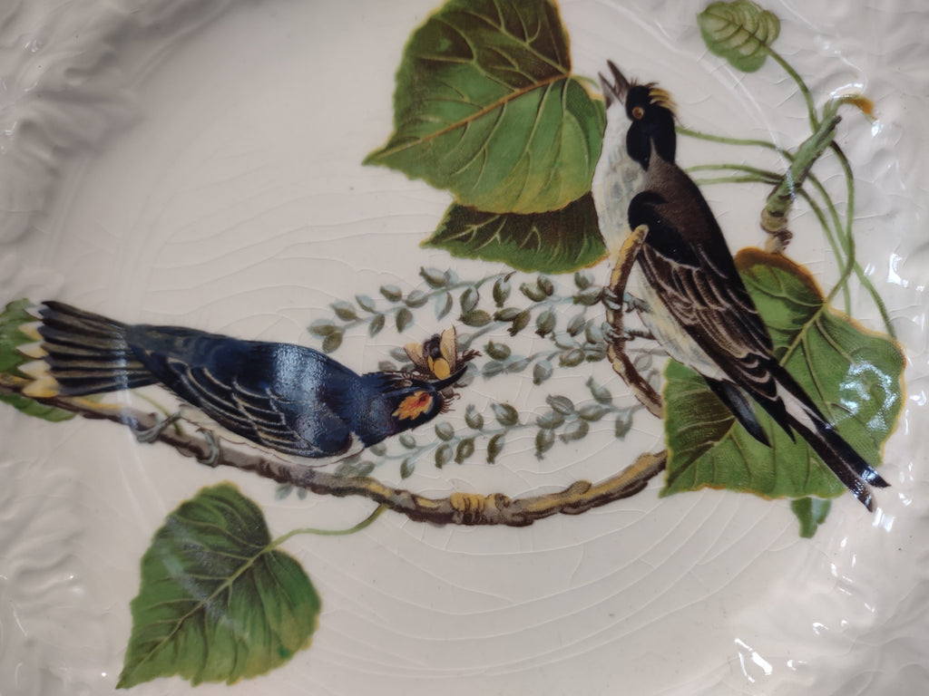 Vintage Alfred Meakin Audubon Kingbird Cottagecore Plate England [5867]