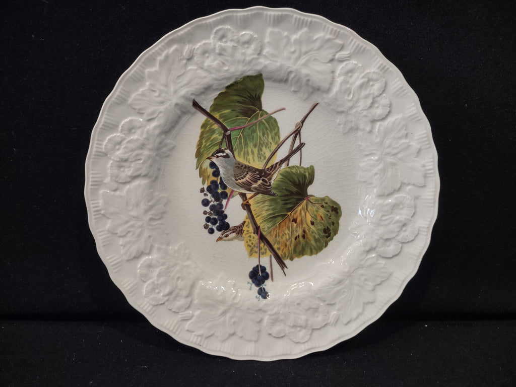 Vintage Meakin Audubon White Crowned Sparrow Cottagecore Plate England [5868]