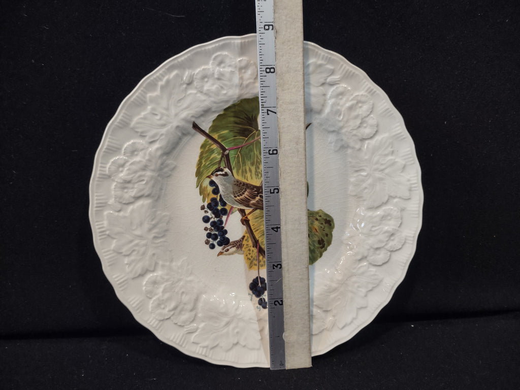 Vintage Meakin Audubon White Crowned Sparrow Cottagecore Plate England [5868]