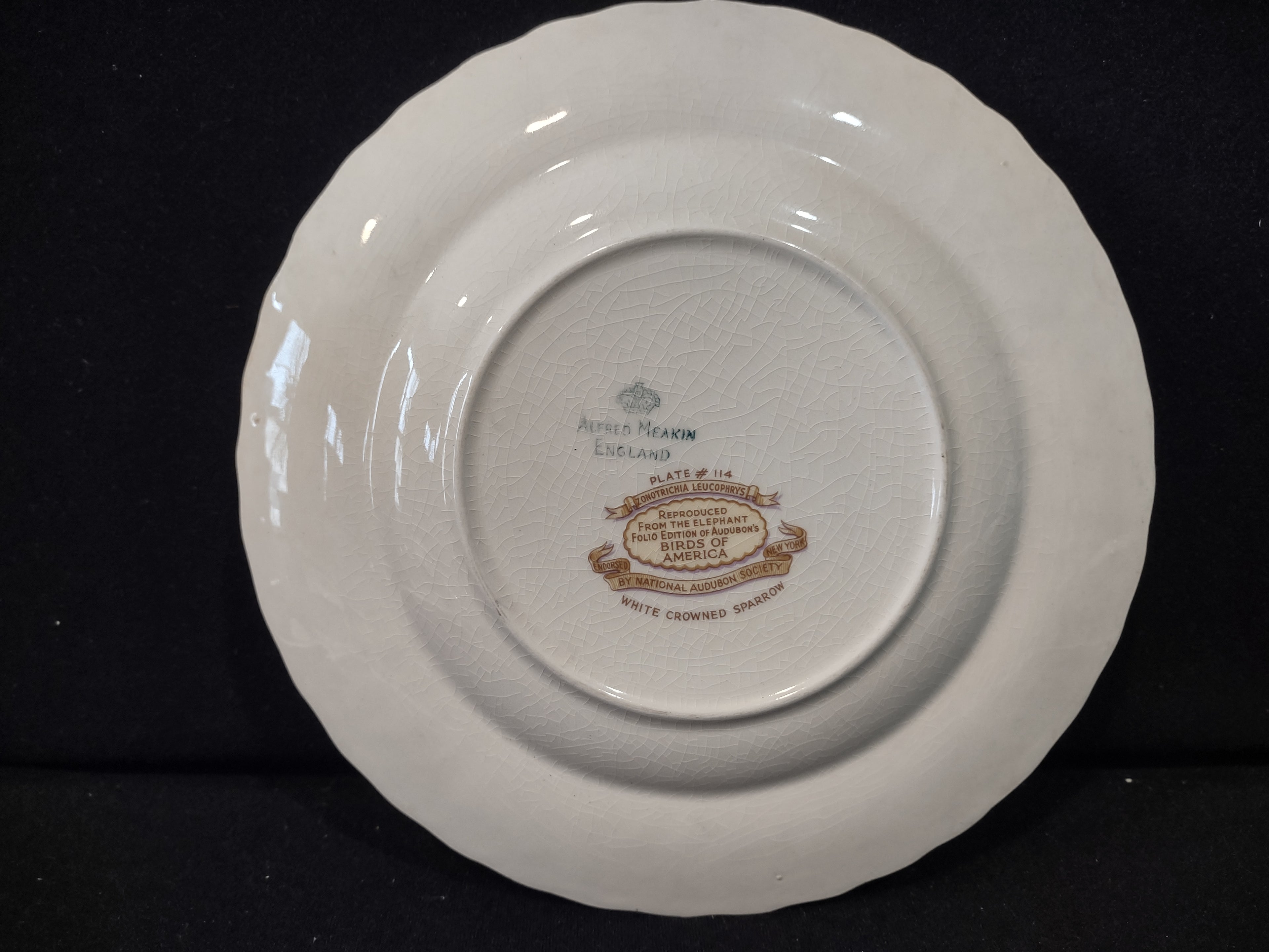 Vintage Meakin Audubon White Crowned Sparrow Cottagecore Plate England [5868]