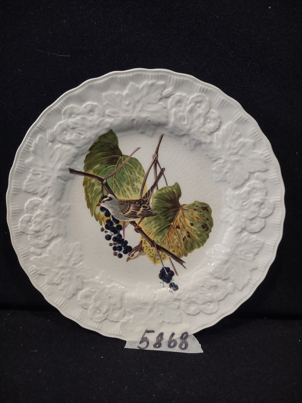Vintage Meakin Audubon White Crowned Sparrow Cottagecore Plate England [5868]