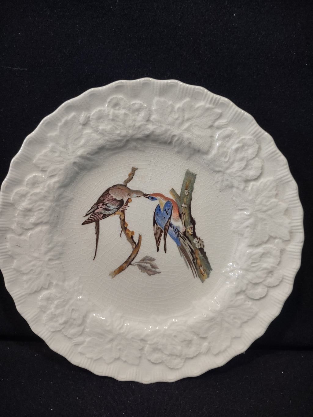 Vintage Alfred Meakin Audubon Passenger Pigeon Extinct Cottagecore Plate [5869]