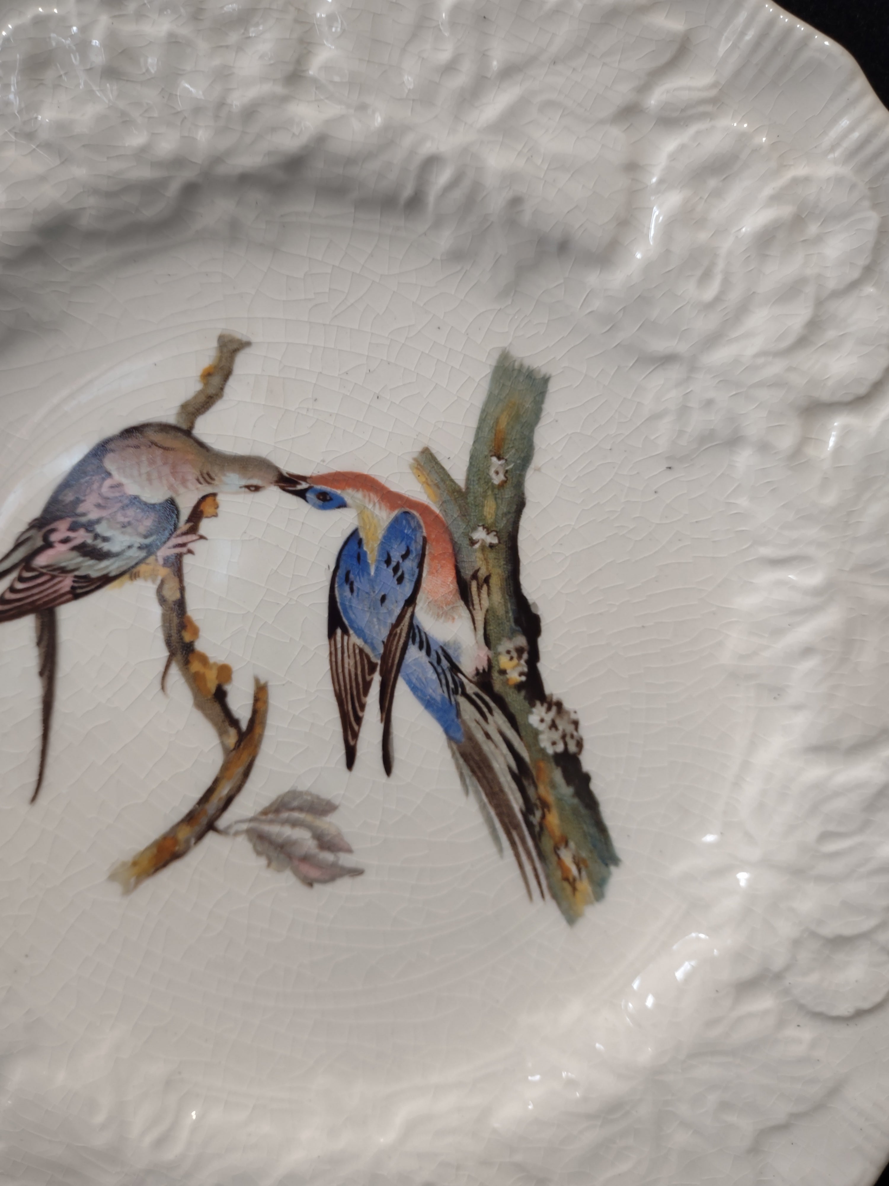 Vintage Alfred Meakin Audubon Passenger Pigeon Extinct Cottagecore Plate [5869]