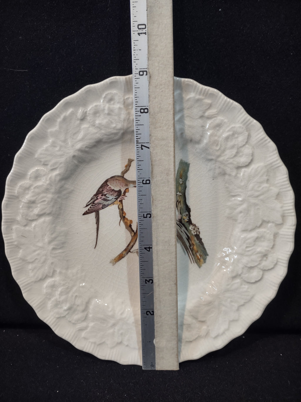 Vintage Alfred Meakin Audubon Passenger Pigeon Extinct Cottagecore Plate [5869]