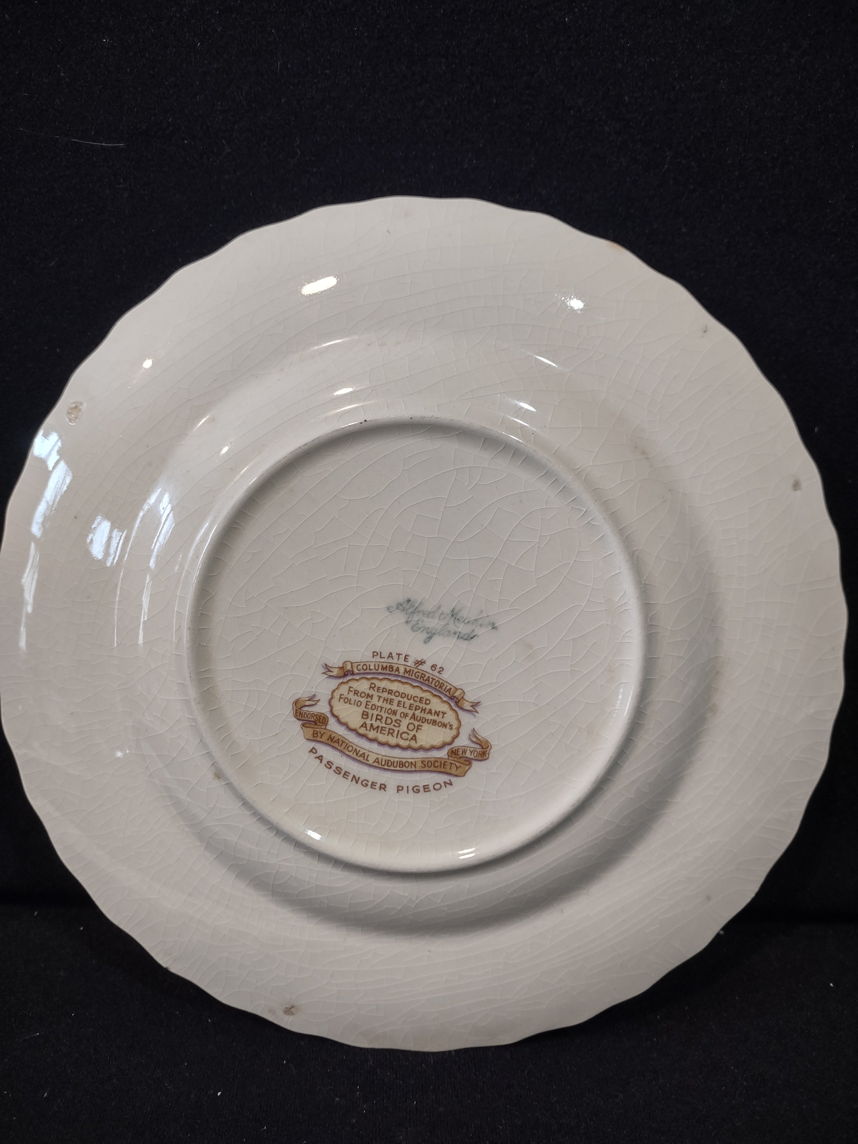 Vintage Alfred Meakin Audubon Passenger Pigeon Extinct Cottagecore Plate [5869]