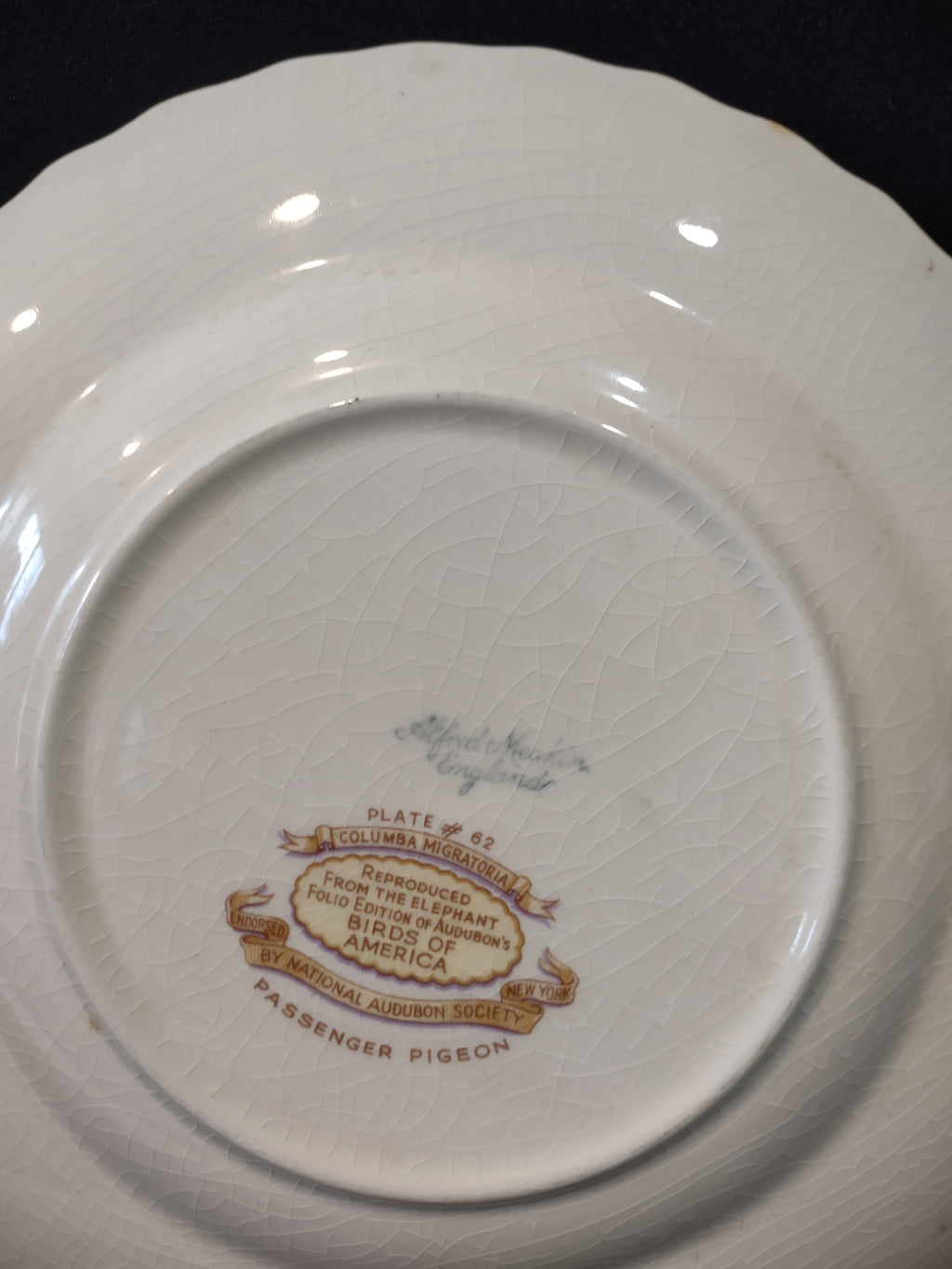 Vintage Alfred Meakin Audubon Passenger Pigeon Extinct Cottagecore Plate [5869]