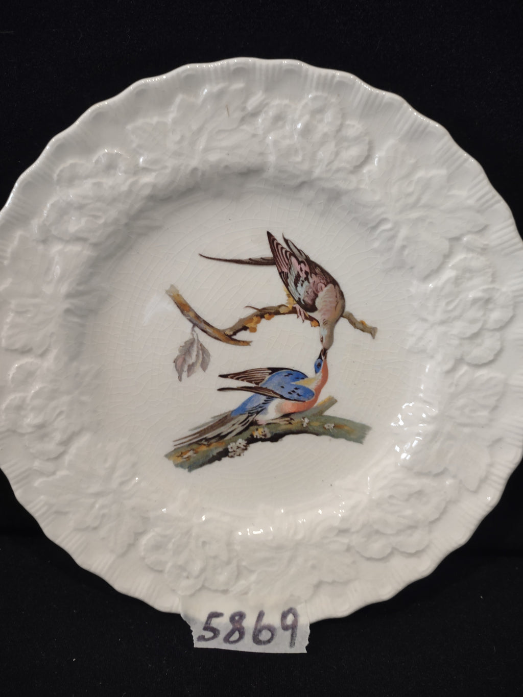 Vintage Alfred Meakin Audubon Passenger Pigeon Extinct Cottagecore Plate [5869]