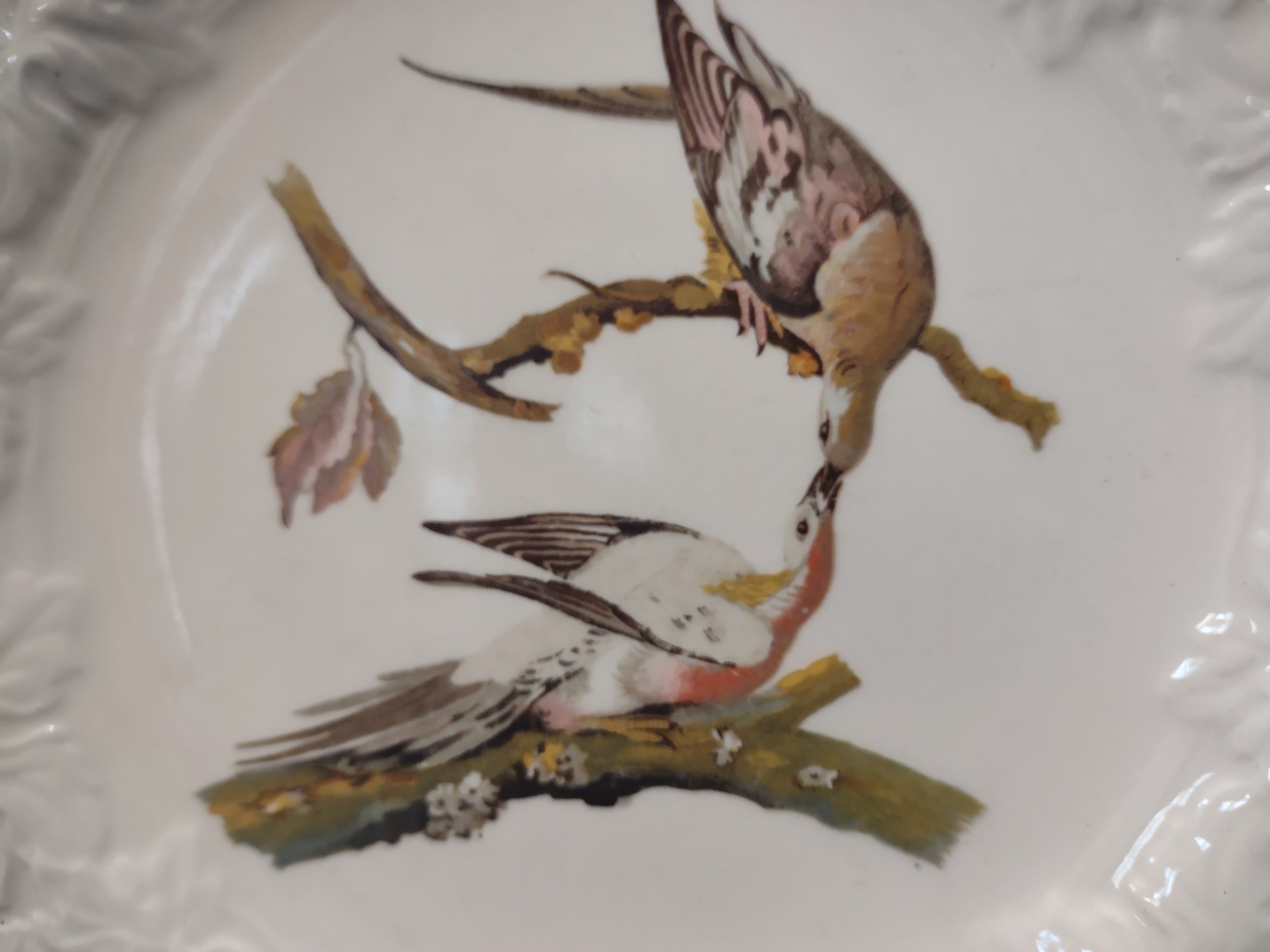 Vintage England Meakin Audubon Passenger Pigeon Extinct Cottagecore Plate [5870]