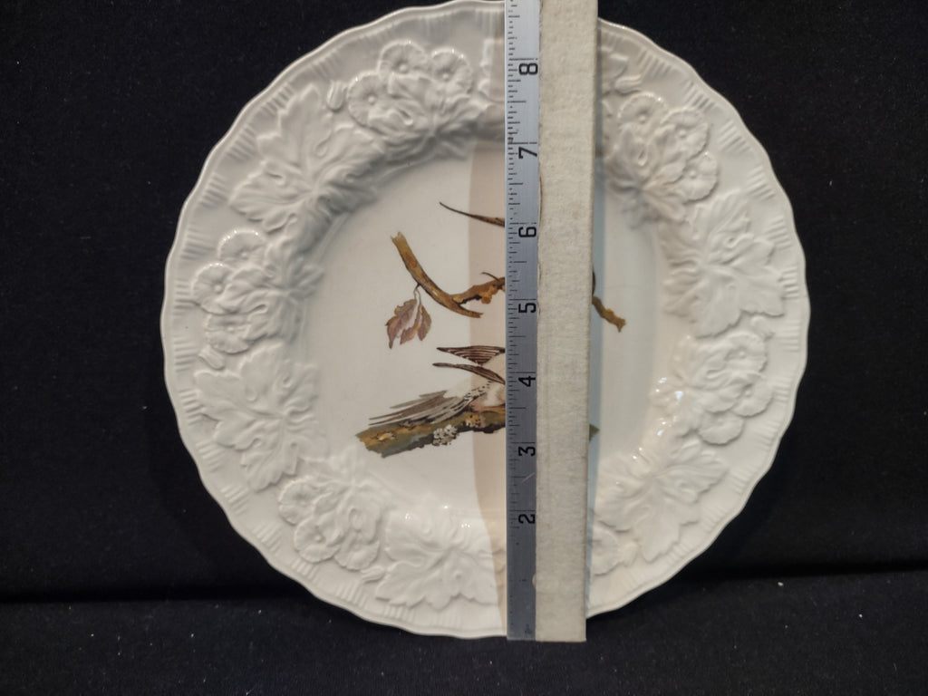Vintage England Meakin Audubon Passenger Pigeon Extinct Cottagecore Plate [5870]