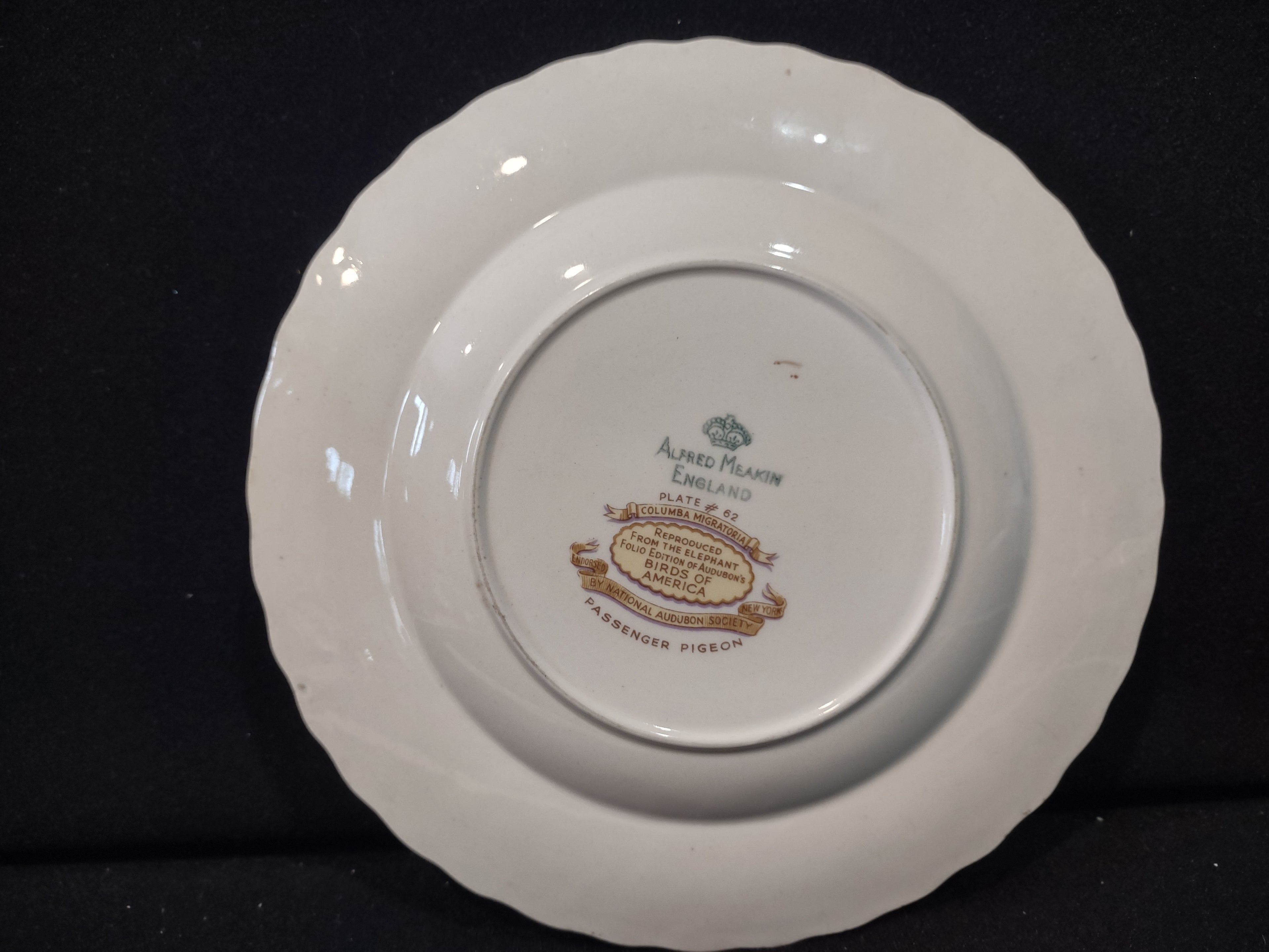 Vintage England Meakin Audubon Passenger Pigeon Extinct Cottagecore Plate [5870]