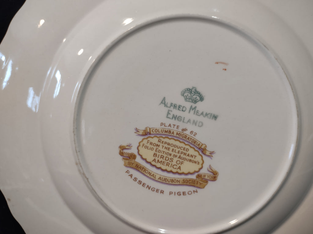 Vintage England Meakin Audubon Passenger Pigeon Extinct Cottagecore Plate [5870]