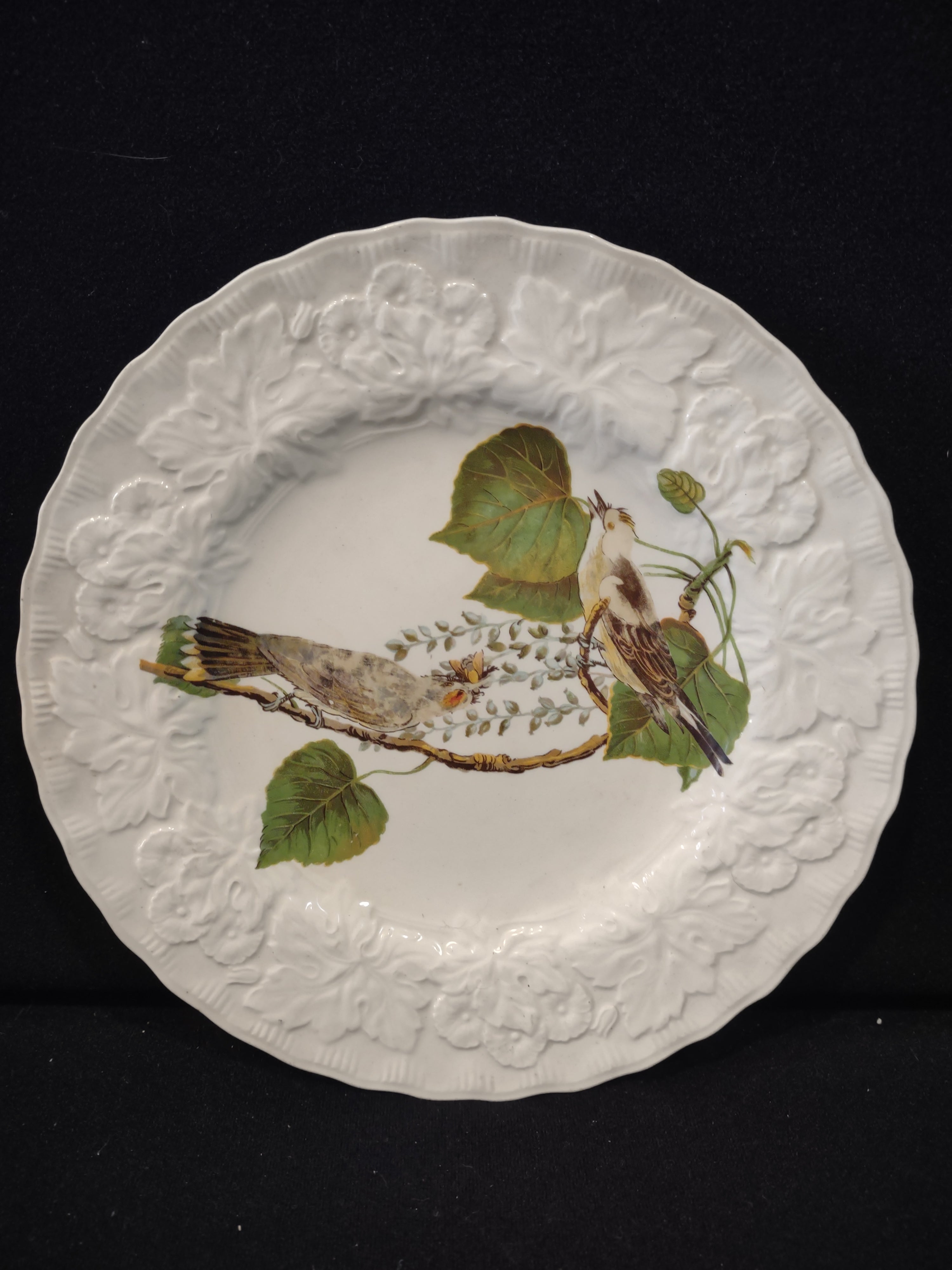 Vintage Alfred Meakin Audubon Kingbird Cottagecore Plate England [5871]