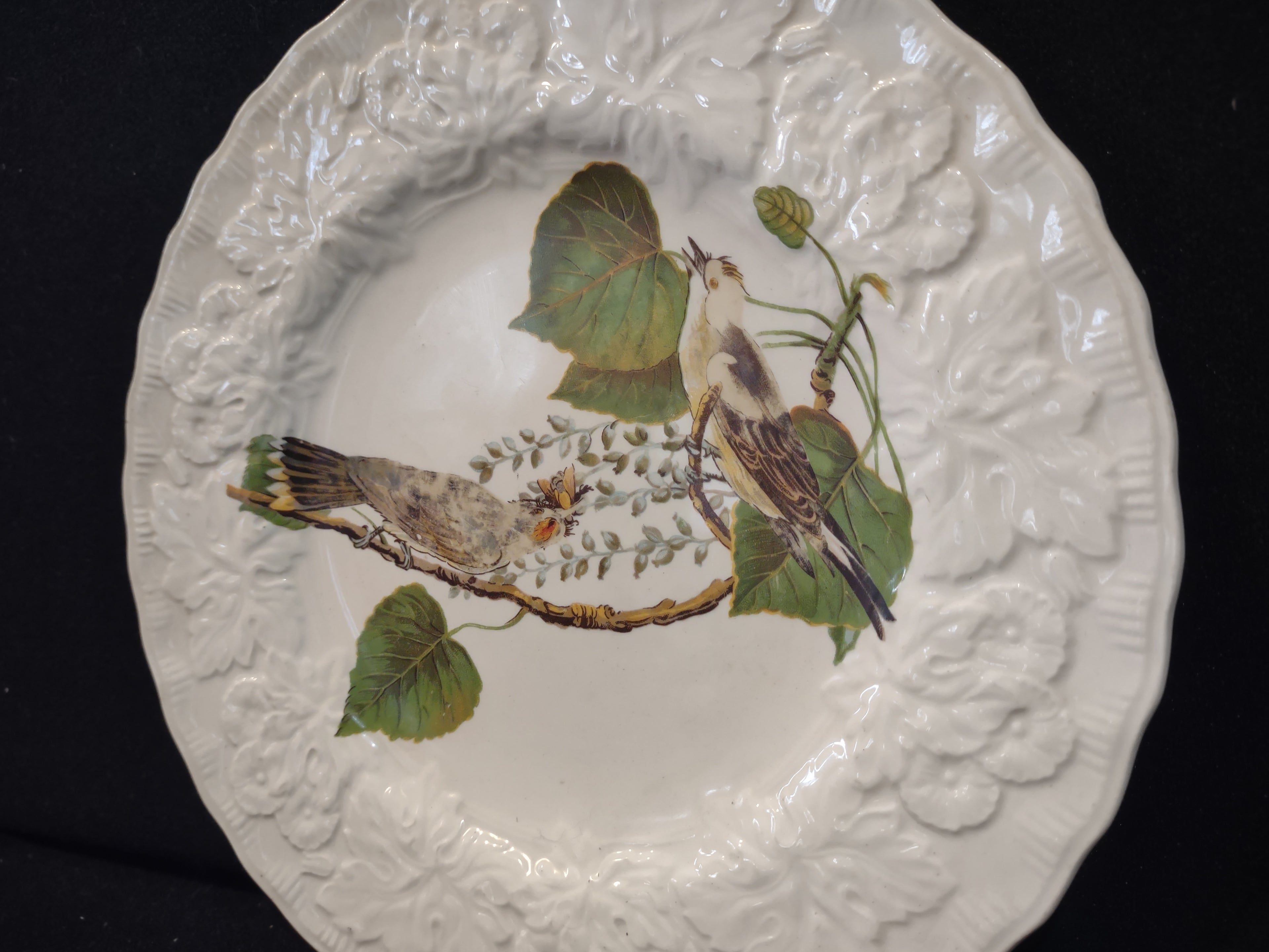 Vintage Alfred Meakin Audubon Kingbird Cottagecore Plate England [5871]