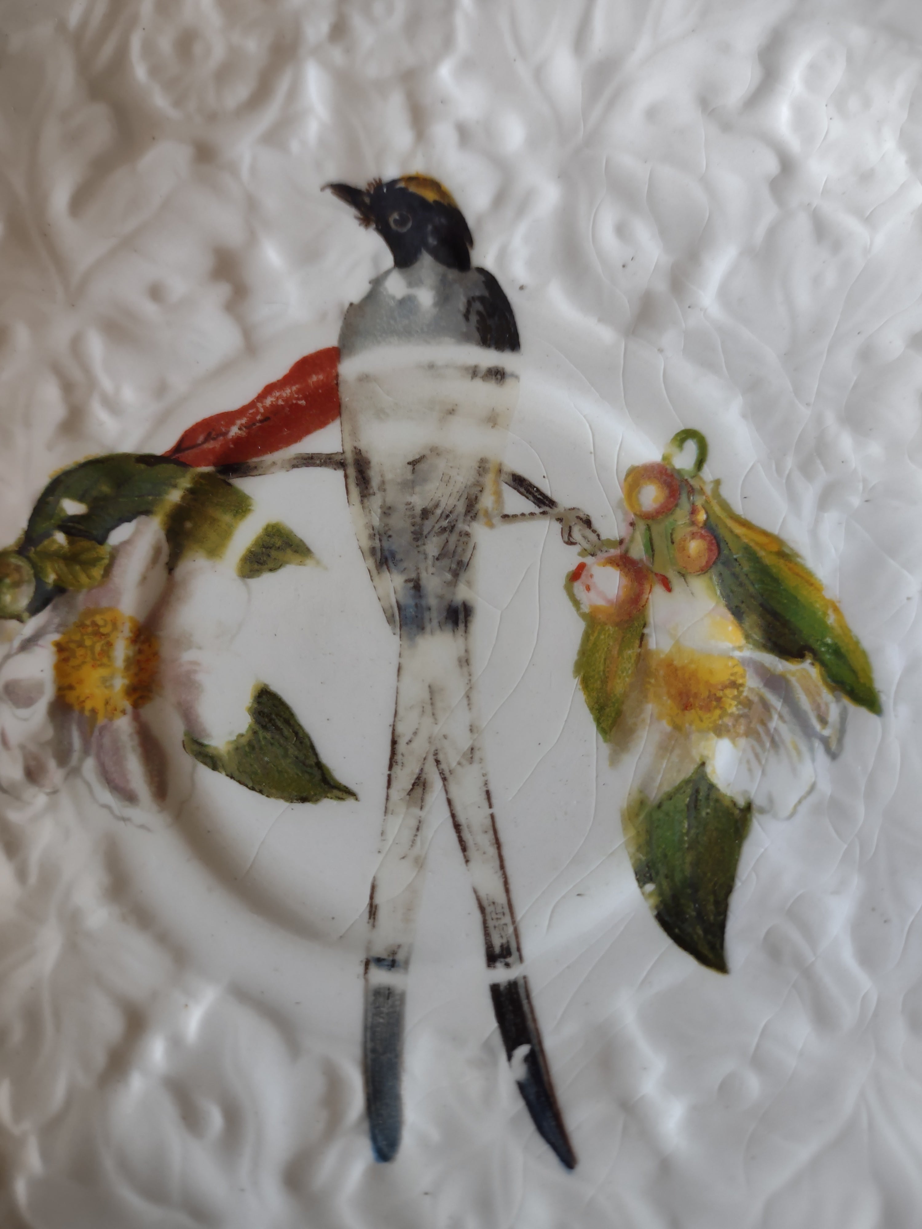 Vintage Meakin England Fork-Tailed Flycatcher Cup Saucer Cottagecore [5873]