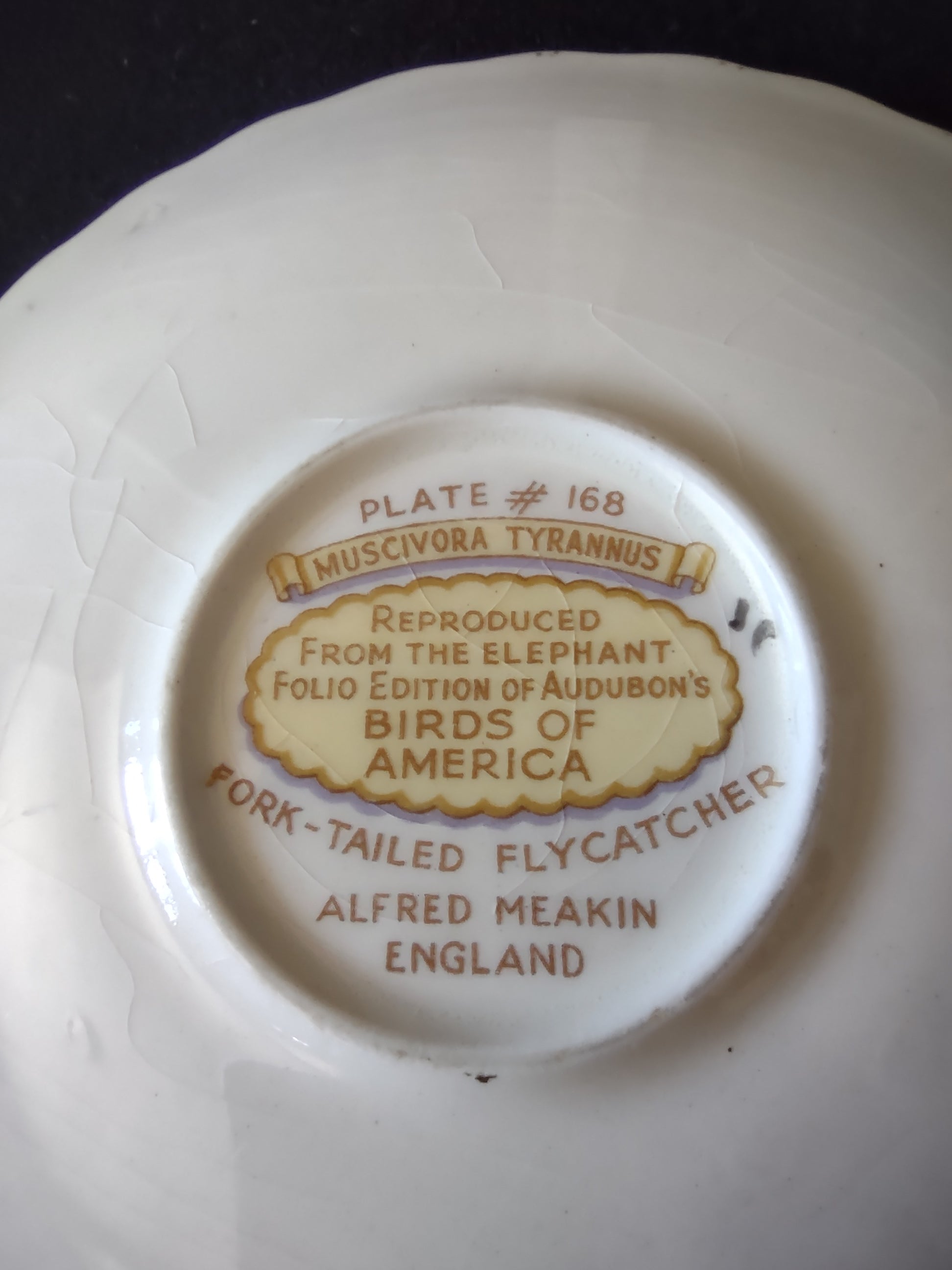 Vintage Meakin England Fork-Tailed Flycatcher Cup Saucer Cottagecore [5873]