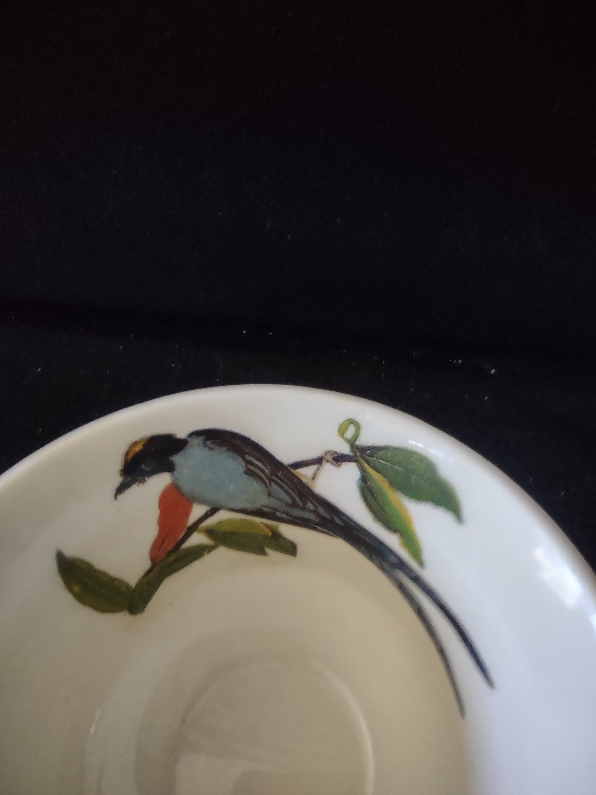 Vintage Meakin England Fork-Tailed Flycatcher Cup Saucer Cottagecore [5873]