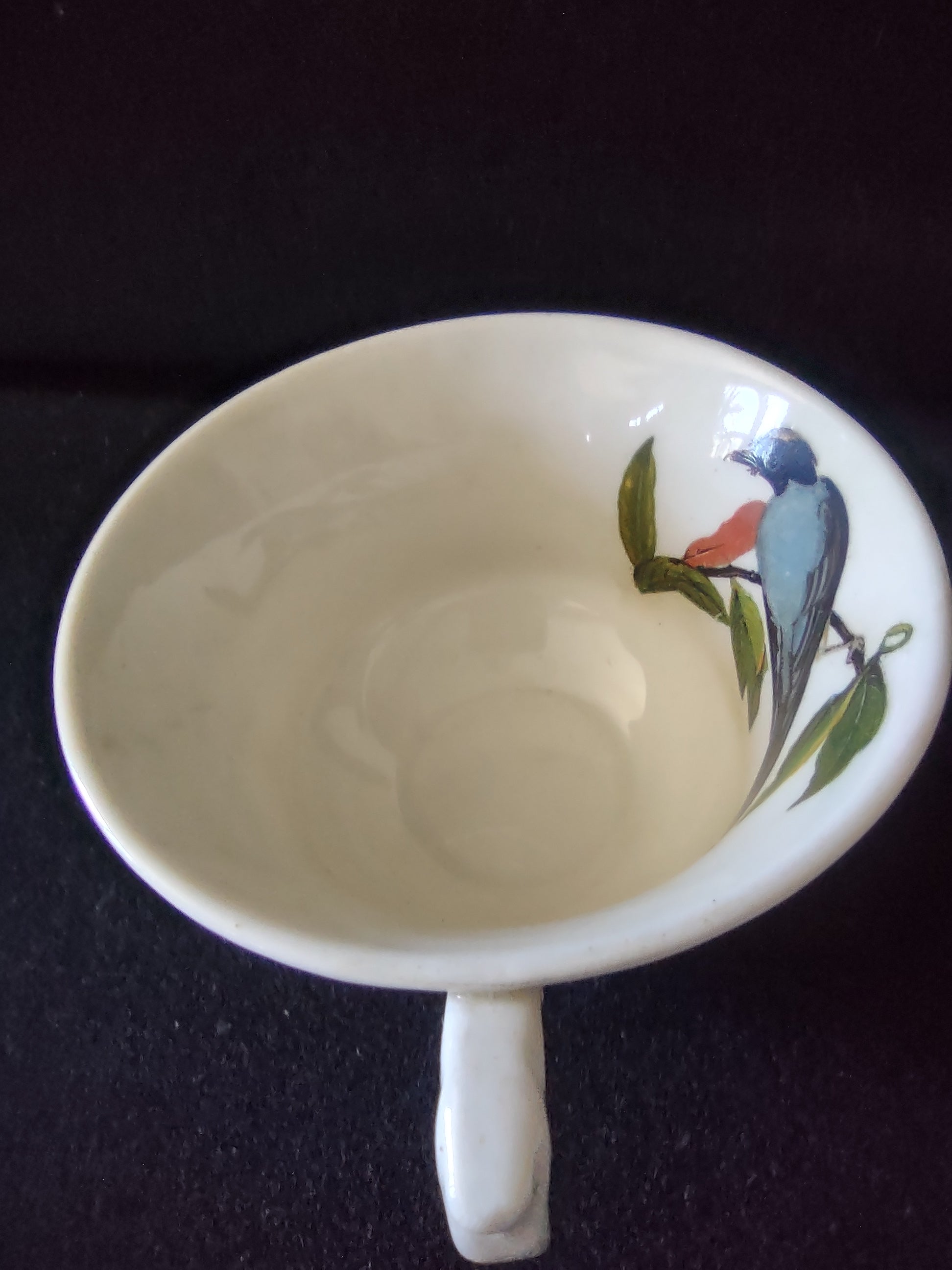 Vintage Meakin England Fork-Tailed Flycatcher Cup Saucer Cottagecore [5873]