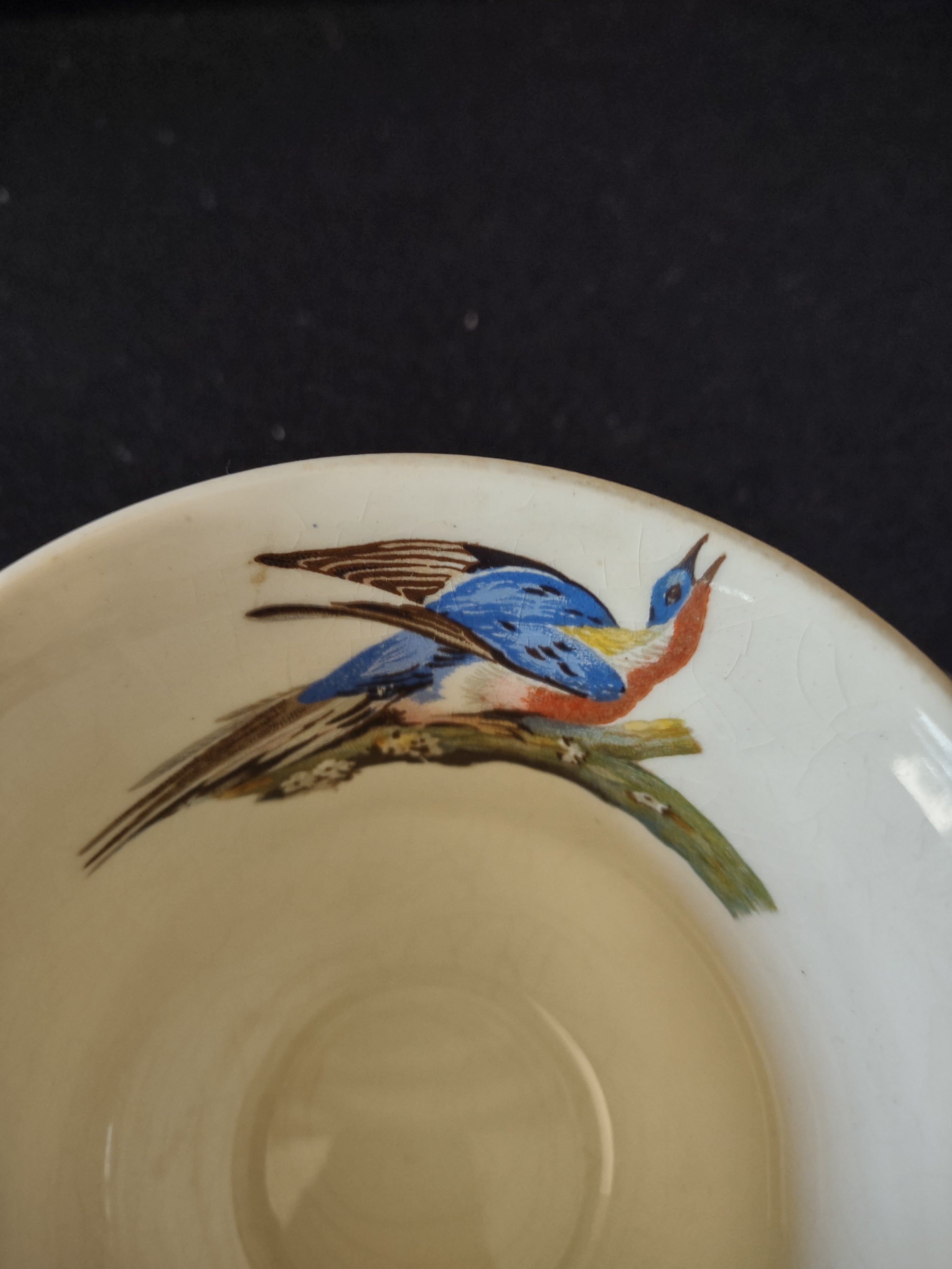 Vintage Meakin England Pigeon Porcelain Teacup Cottagecore Cup Only [5874]