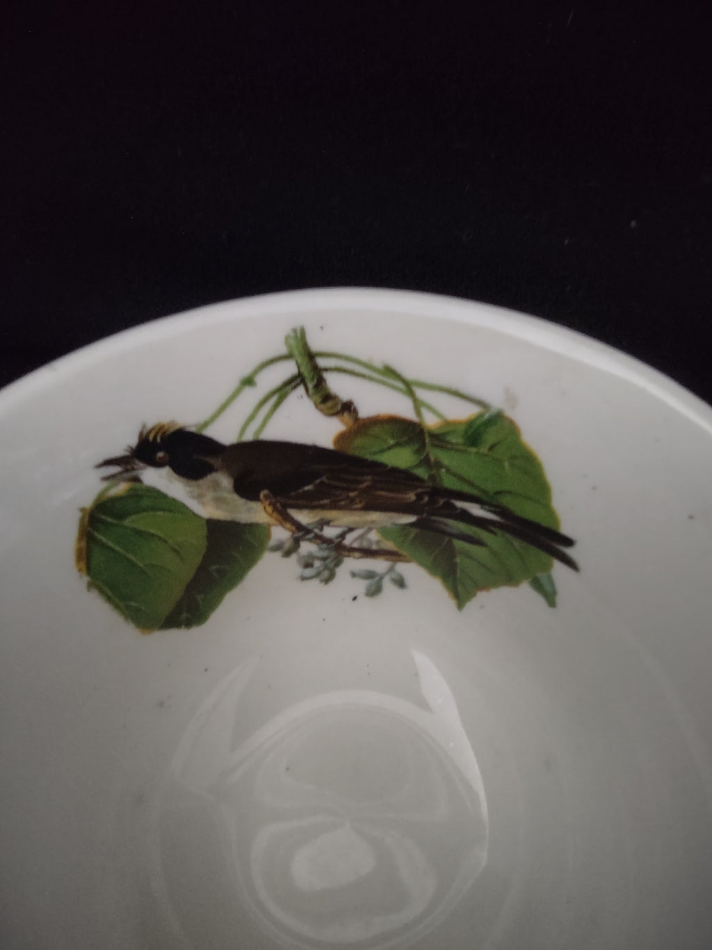 Vintage Meakin England Kingbird Teacup Saucer Cottagecore [5875]