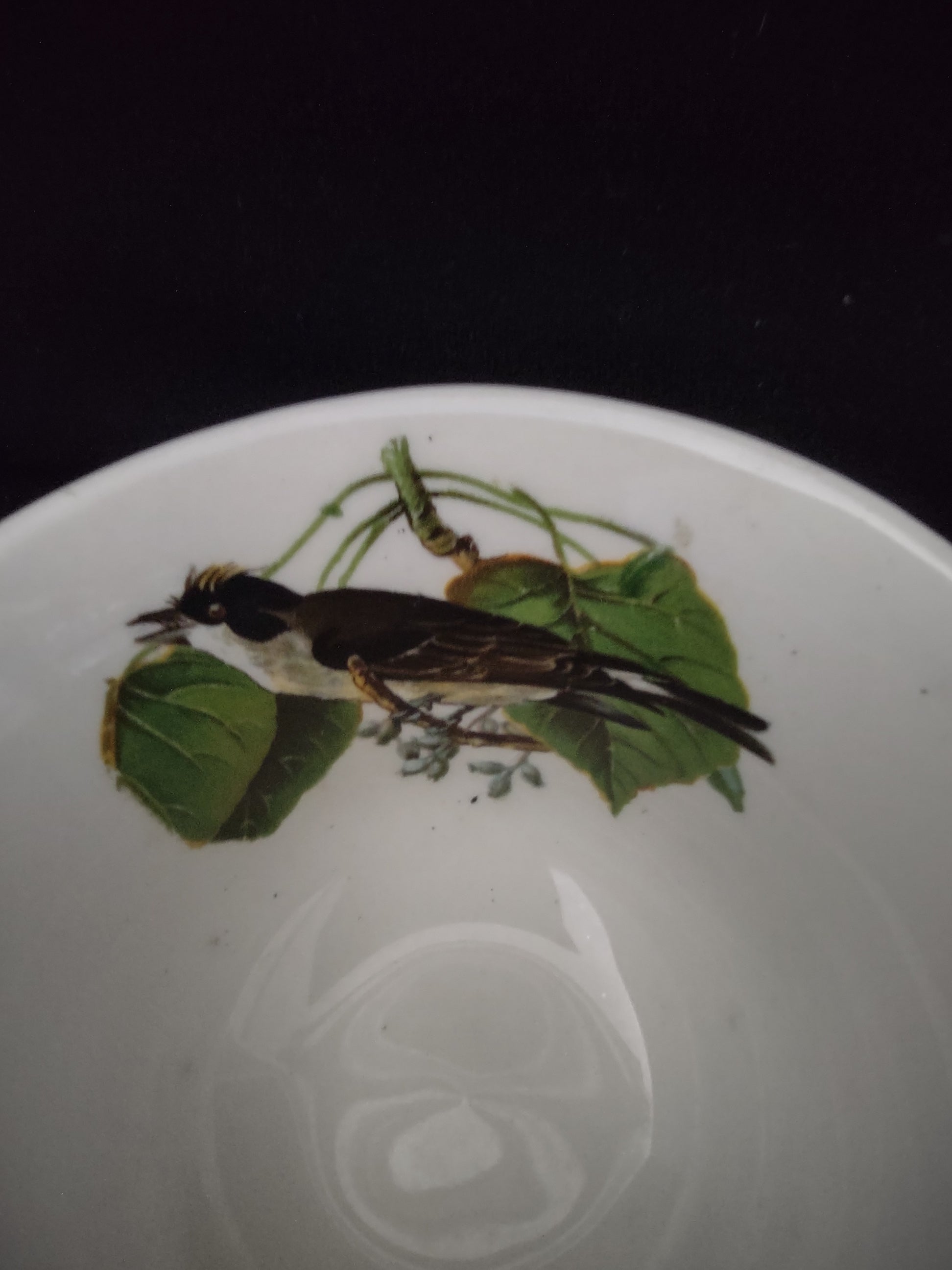 Vintage Meakin England Kingbird Teacup Saucer Cottagecore [5875]