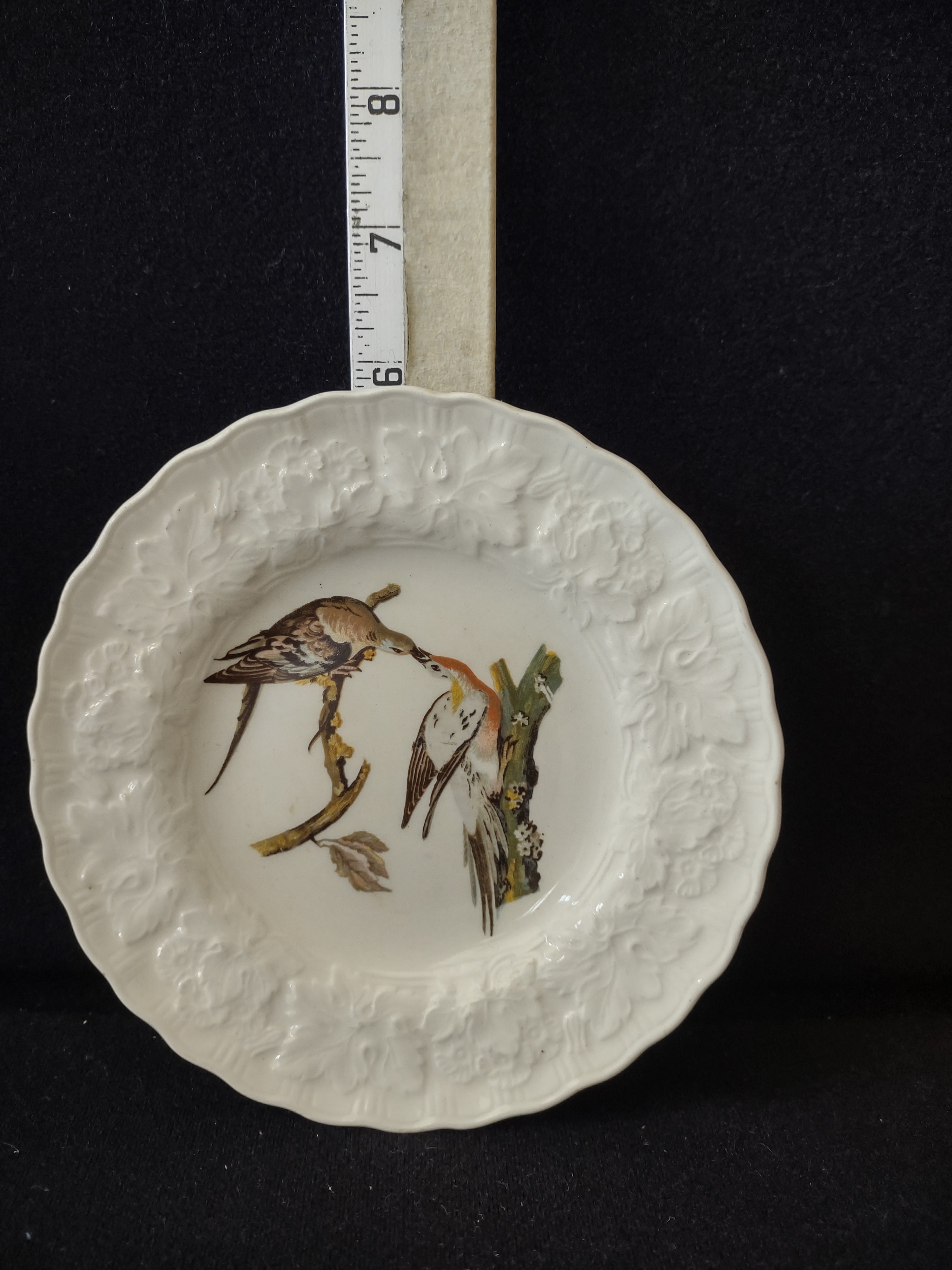 Vintage Meakin Passenger Pigeon Birds of America England Cottagecore [5876]