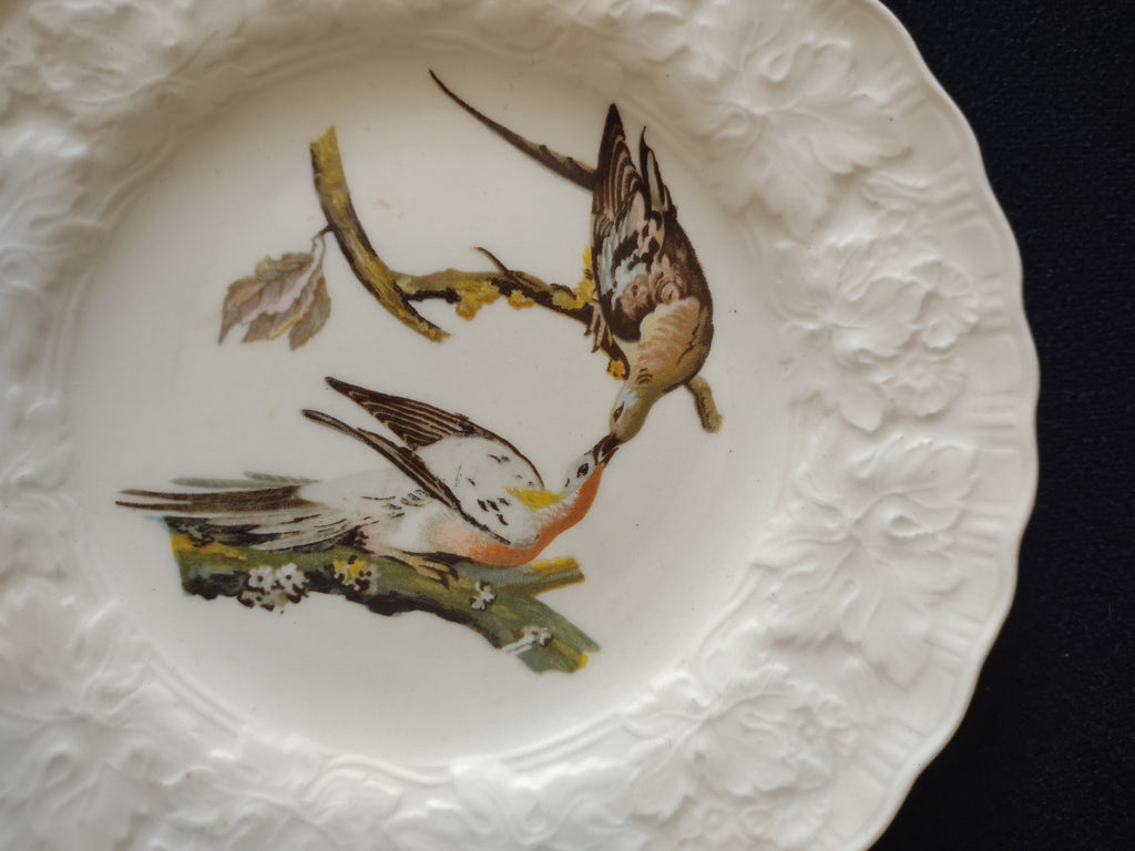 Vintage Meakin Passenger Pigeon Birds of America England Cottagecore [5876]