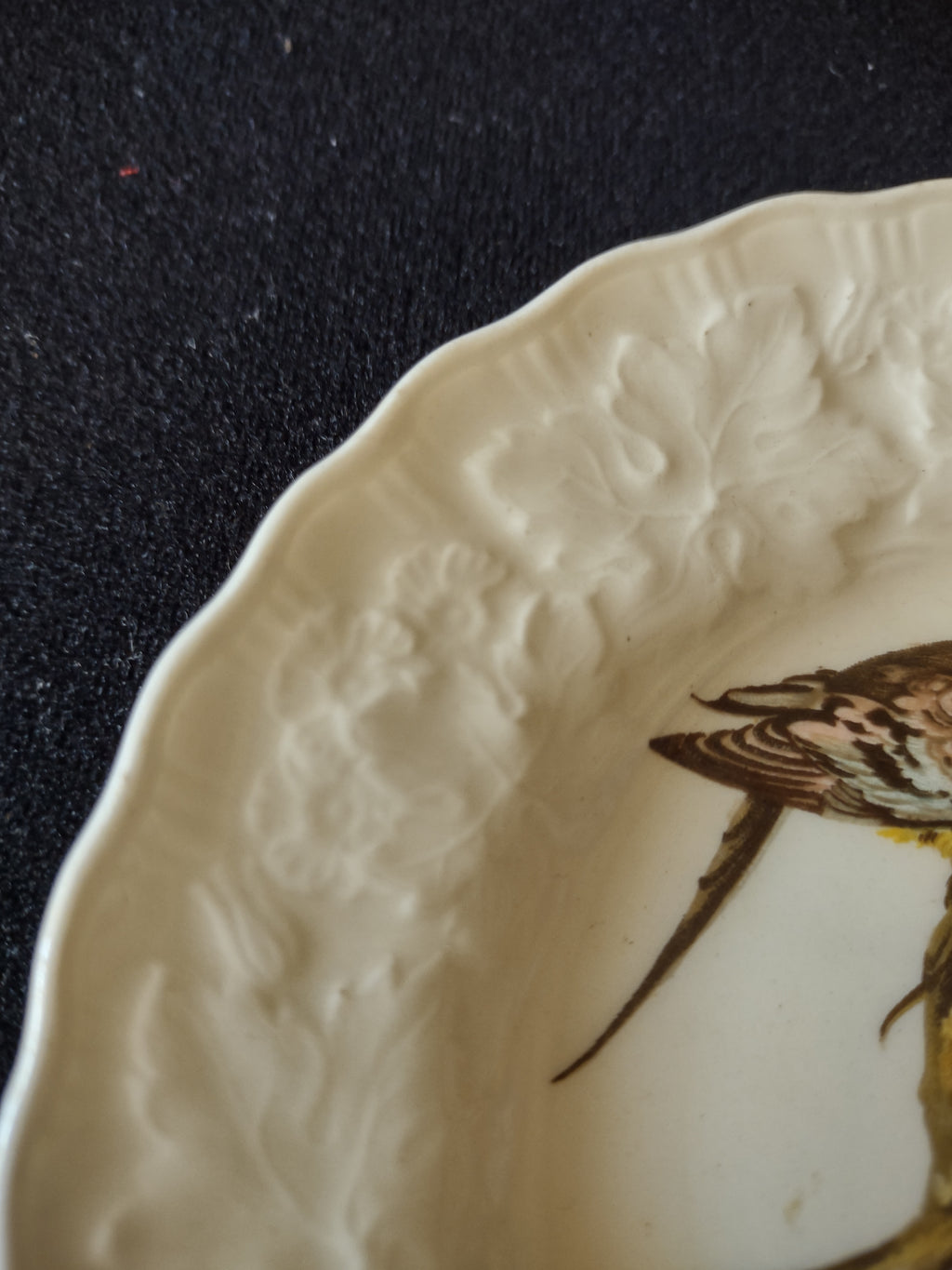 Vintage Meakin Passenger Pigeon Birds of America England Cottagecore [5876]