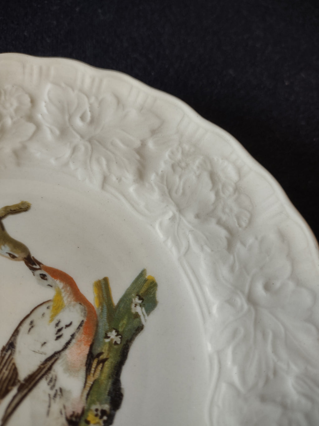 Vintage Meakin Passenger Pigeon Birds of America England Cottagecore [5876]
