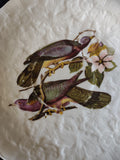 Vintage Meakin Band-Tailed Pigeon Audubon Saucer England Cottagecore [5877]