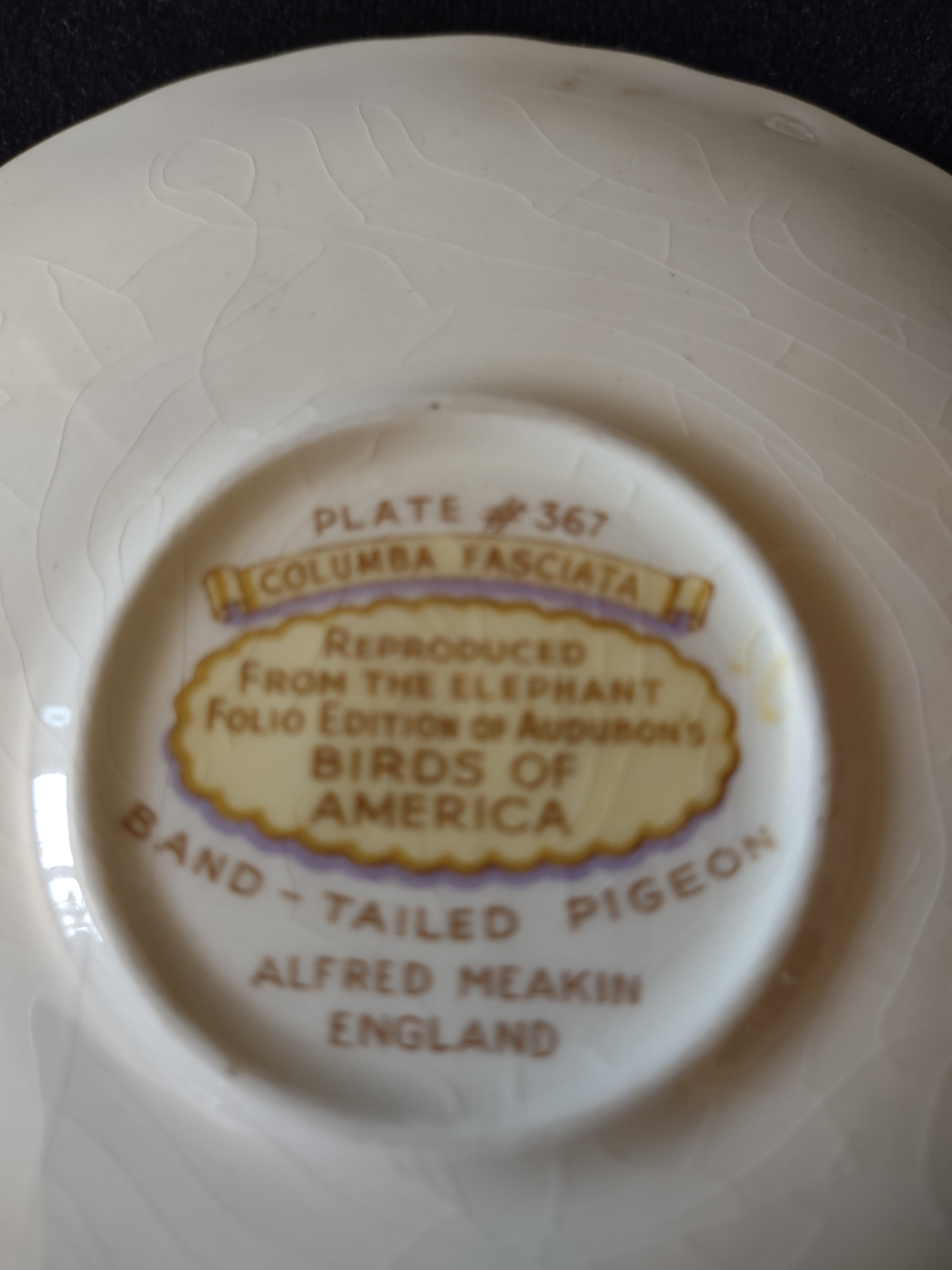 Vintage Meakin Band-Tailed Pigeon Audubon Saucer England Cottagecore [5877]