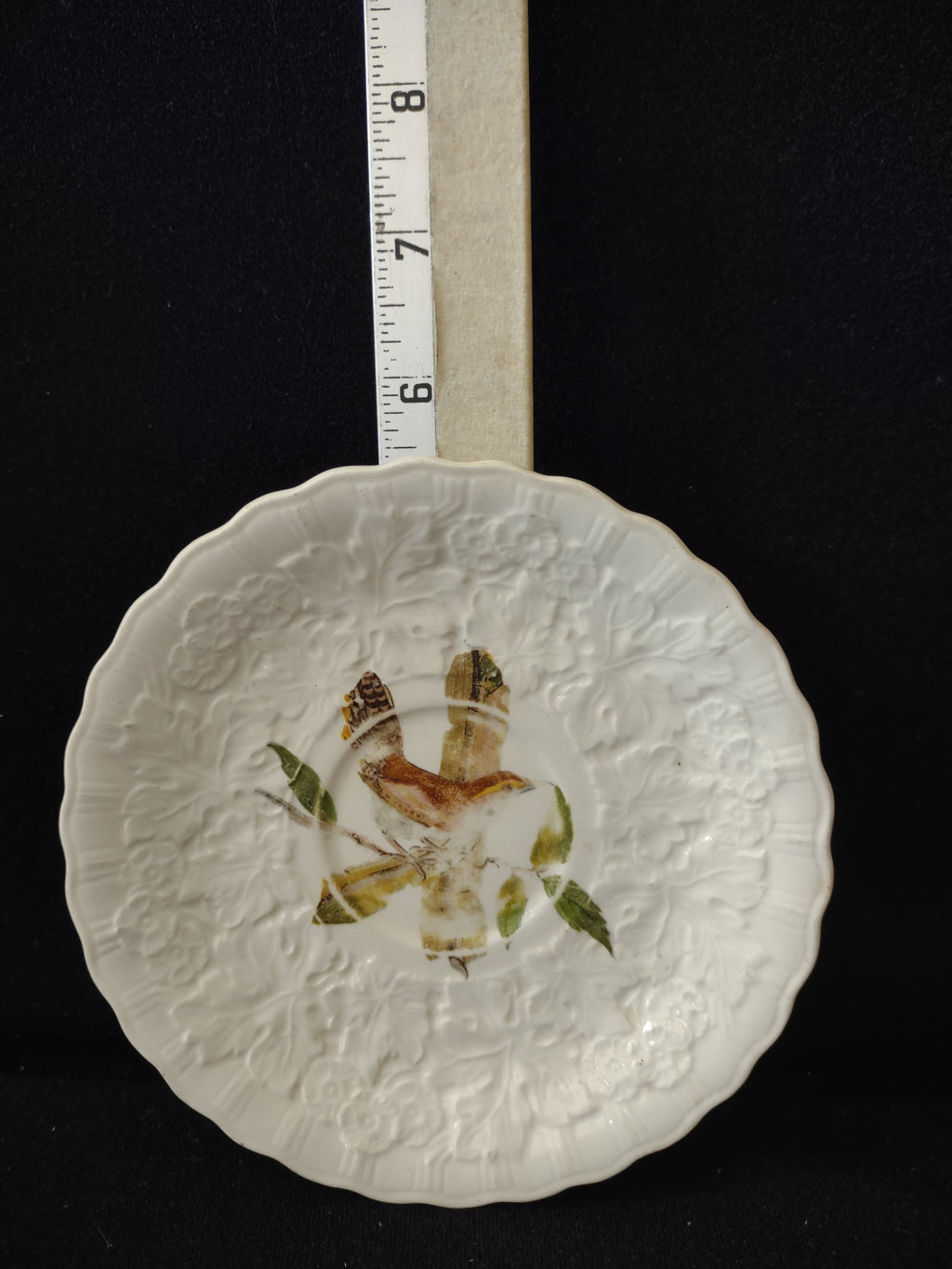 Vintage Alfred Meakin Audubon Birds of America Bewick's Wren Plate [5878]