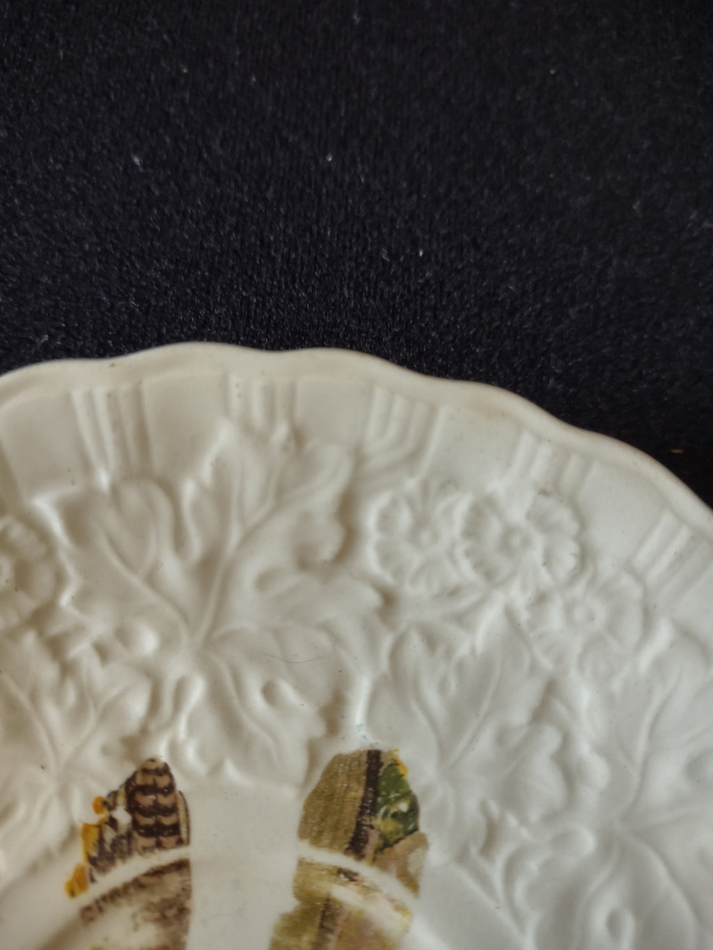 Vintage Alfred Meakin Audubon Birds of America Bewick's Wren Plate [5878]