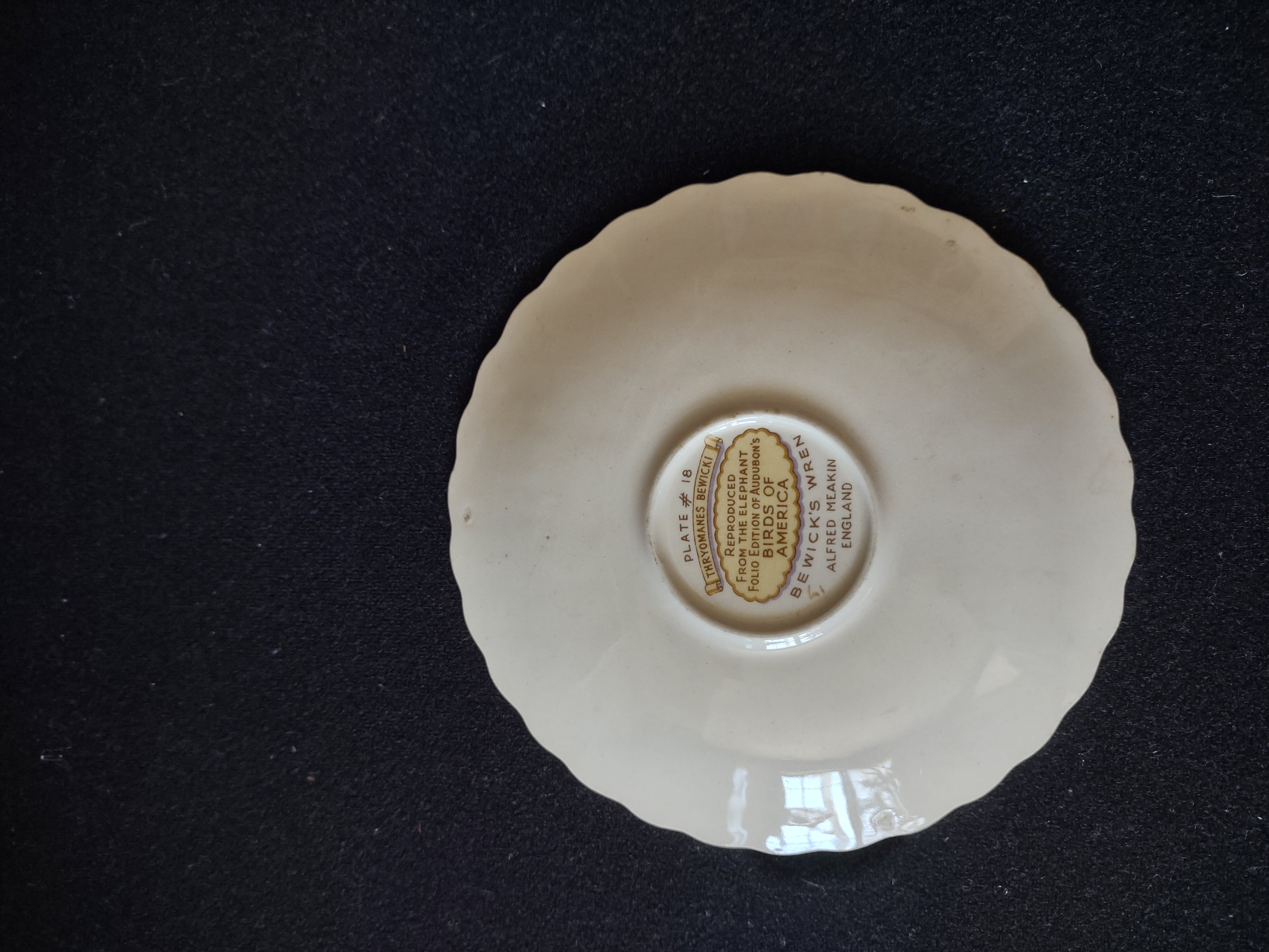 Vintage Alfred Meakin Audubon Birds of America Bewick's Wren Plate [5878]