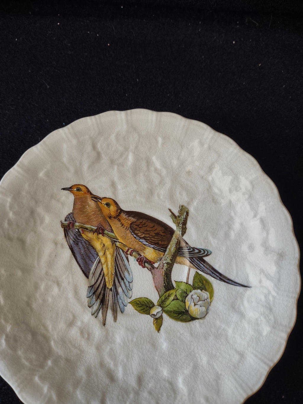 Vintage Meakin Audubon Carolina Turtle Dove Saucer England Cottagecore [5879]