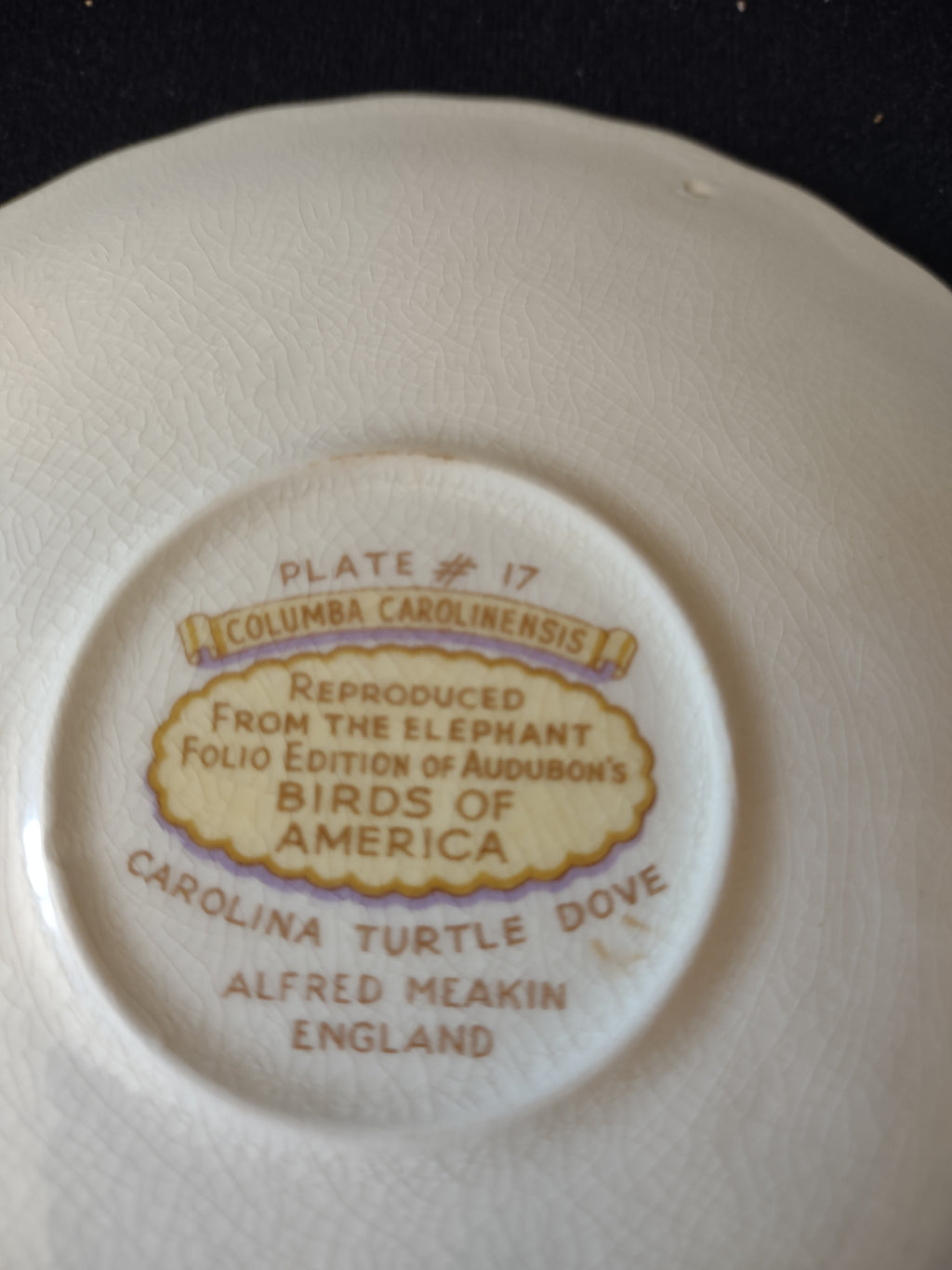 Vintage Meakin Audubon Carolina Turtle Dove Saucer England Cottagecore [5879]