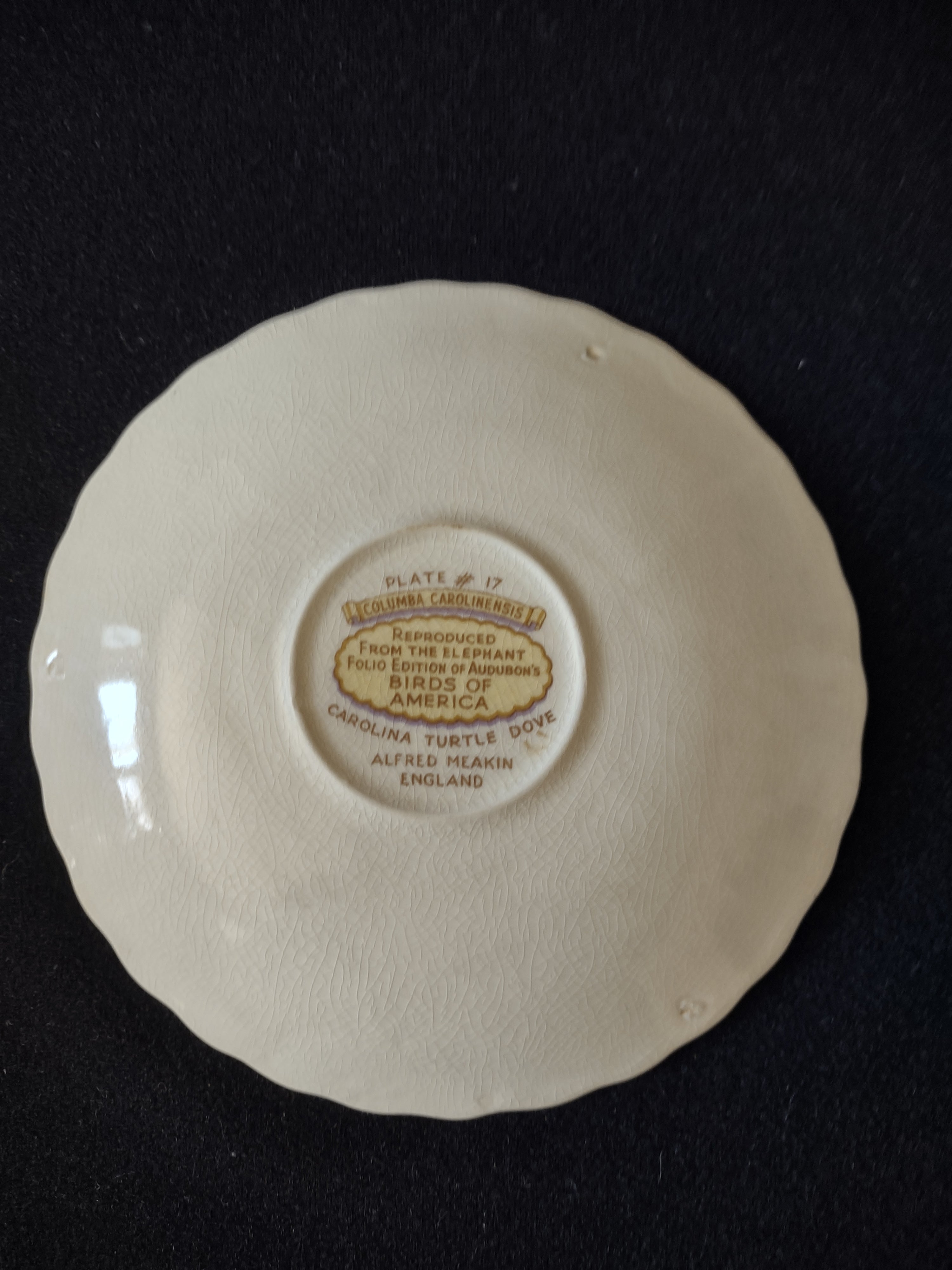 Vintage Meakin Audubon Carolina Turtle Dove Saucer England Cottagecore [5879]