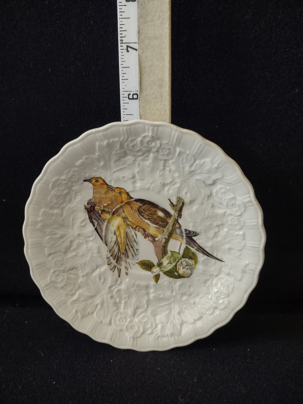 Vintage Alfred Meakin Audubon Birds of America Carolina Turtle Dove Saucer [5880]