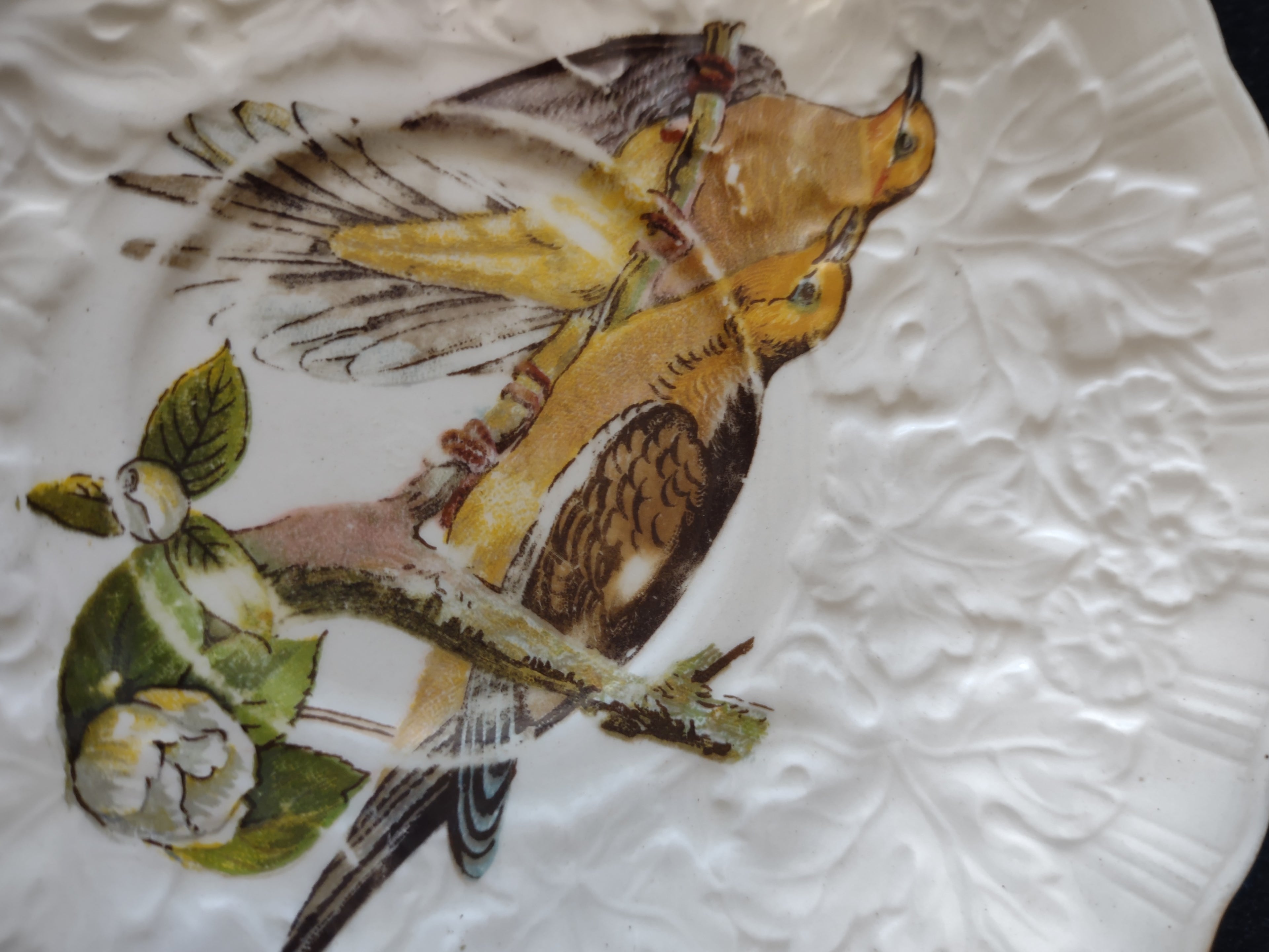 Vintage Alfred Meakin Audubon Birds of America Carolina Turtle Dove Saucer [5880]