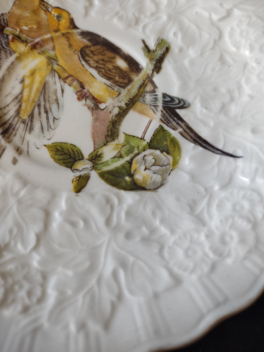 Vintage Alfred Meakin Audubon Birds of America Carolina Turtle Dove Saucer [5880]