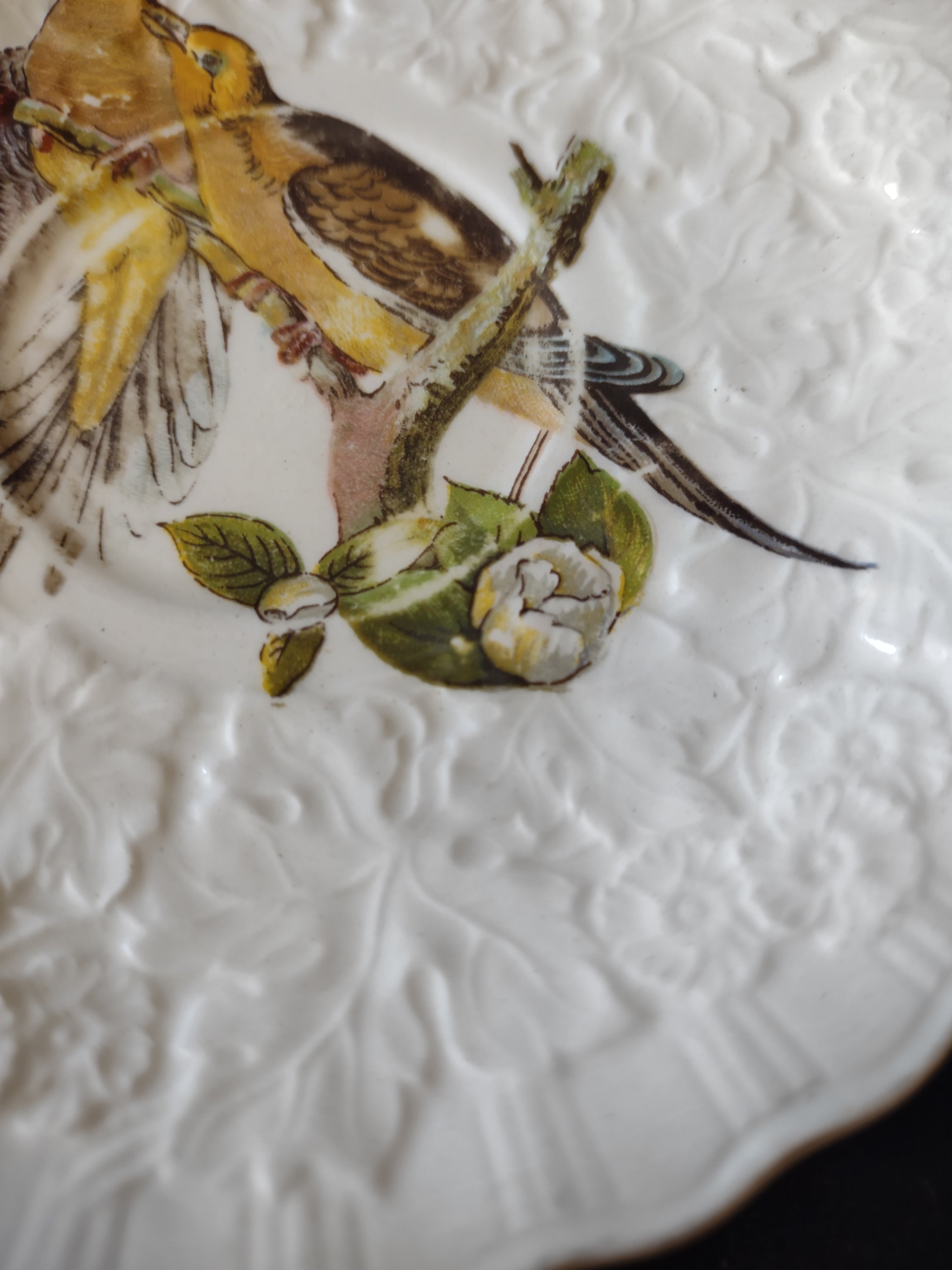 Vintage Alfred Meakin Audubon Birds of America Carolina Turtle Dove Saucer [5880]